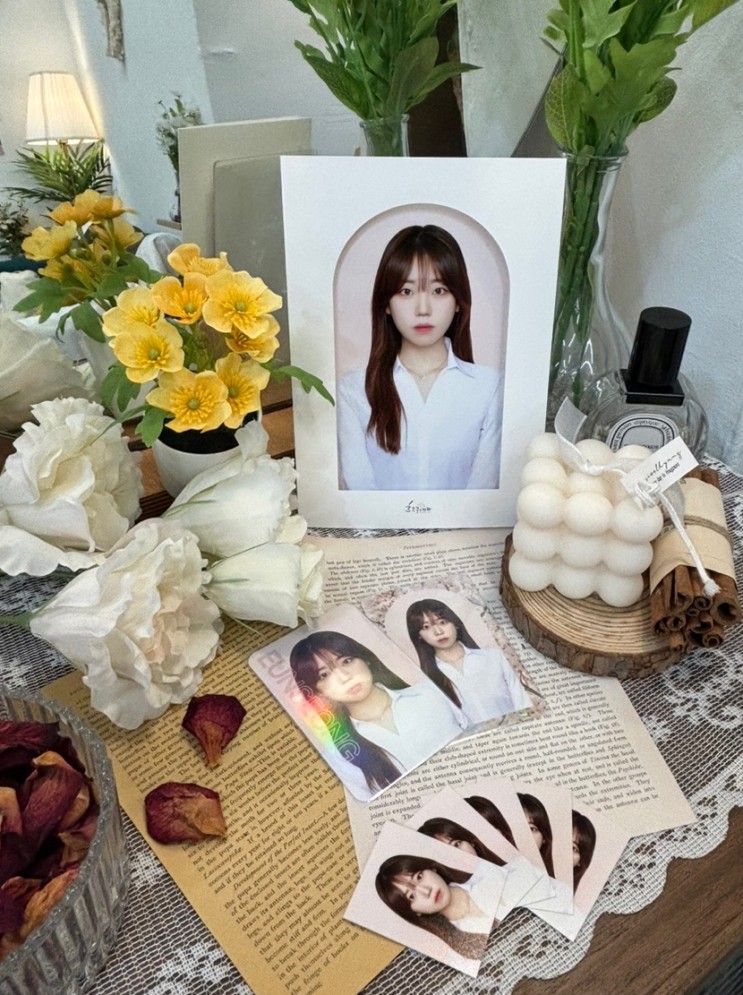 을지로사진관 컬러증명사진, 사원증은 흐드러지다 스튜디오 !인스타 사진 남기기! (보정맛집, 컬러배경, 예약, 가격 솔직후기)