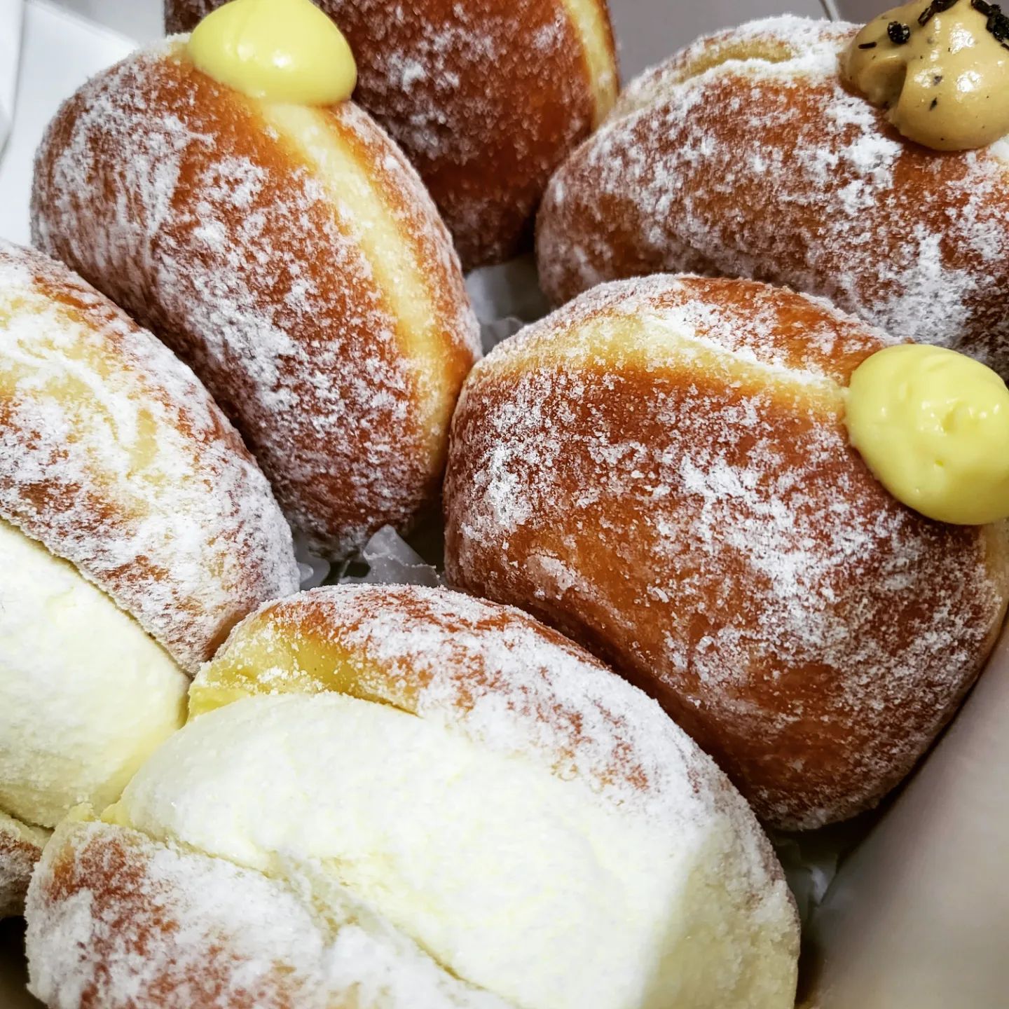 🍩노티드도넛🍩

<노티드 대전 갤러리아>
대전 서구 대덕대로 219

우유생크림도넛 ⭐⭐⭐⭐
클래식바닐라도넛 ⭐⭐⭐
라즈베리도넛 ⭐⭐⭐
얼그레이도넛 ⭐⭐⭐
스트로베리잼잼링도넛 ⭐⭐

드디어 기다리던 노티드도넛이  대전에 오픈했다!
몇번 웨이팅 실패한 끝에 겨우 구매완.
우유생크림은 다시 사먹고 싶을정도로 맛있었고 다른 도넛들은 보통! 얼그레이는 특히 맛이 진하지 않아 아쉬웠다.
링도넛도 실망스러운 맛이였지만 우유생크림도넛을 먹으러 재방문할 의사는 있다!

#노티드 #노티드도넛 #노티드도넛🍩 #노티드대전