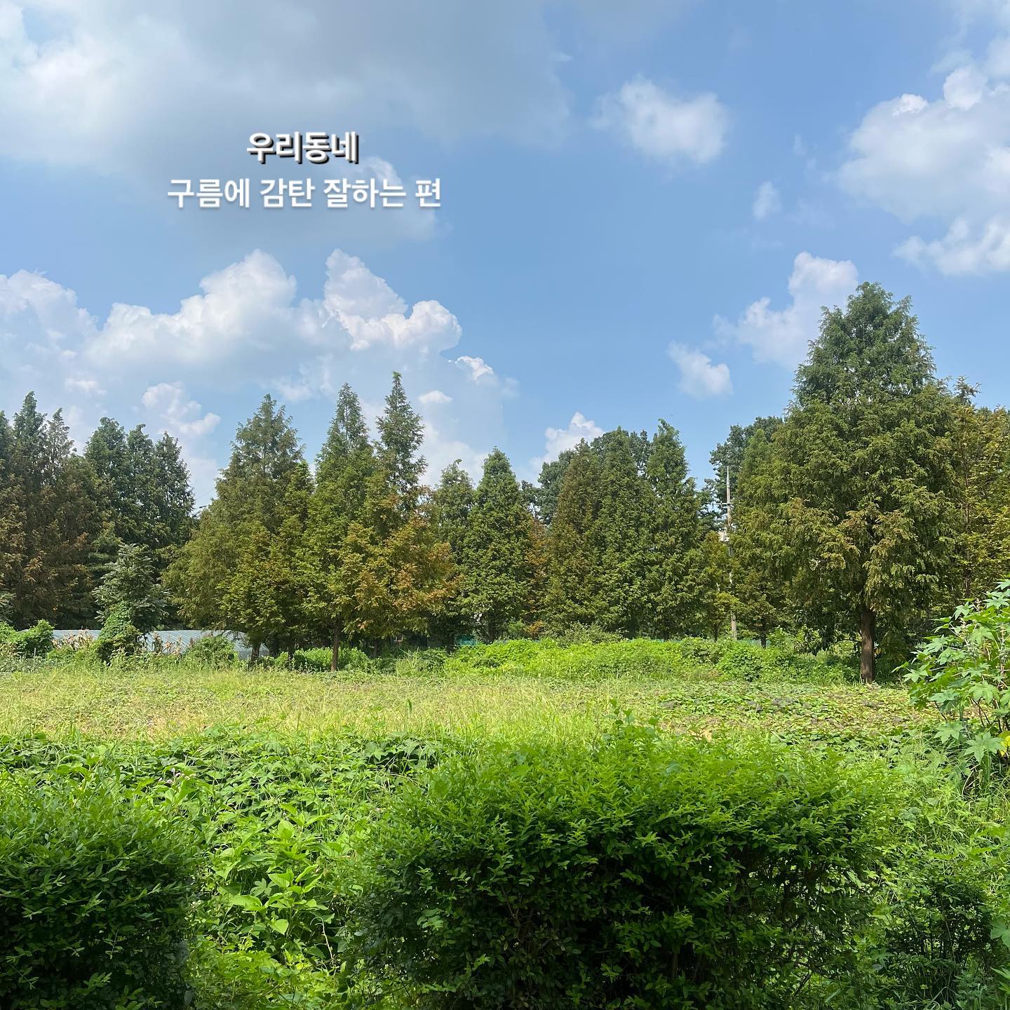 의식의 흐름대로 막 눌러서 올려보는
사진들😛