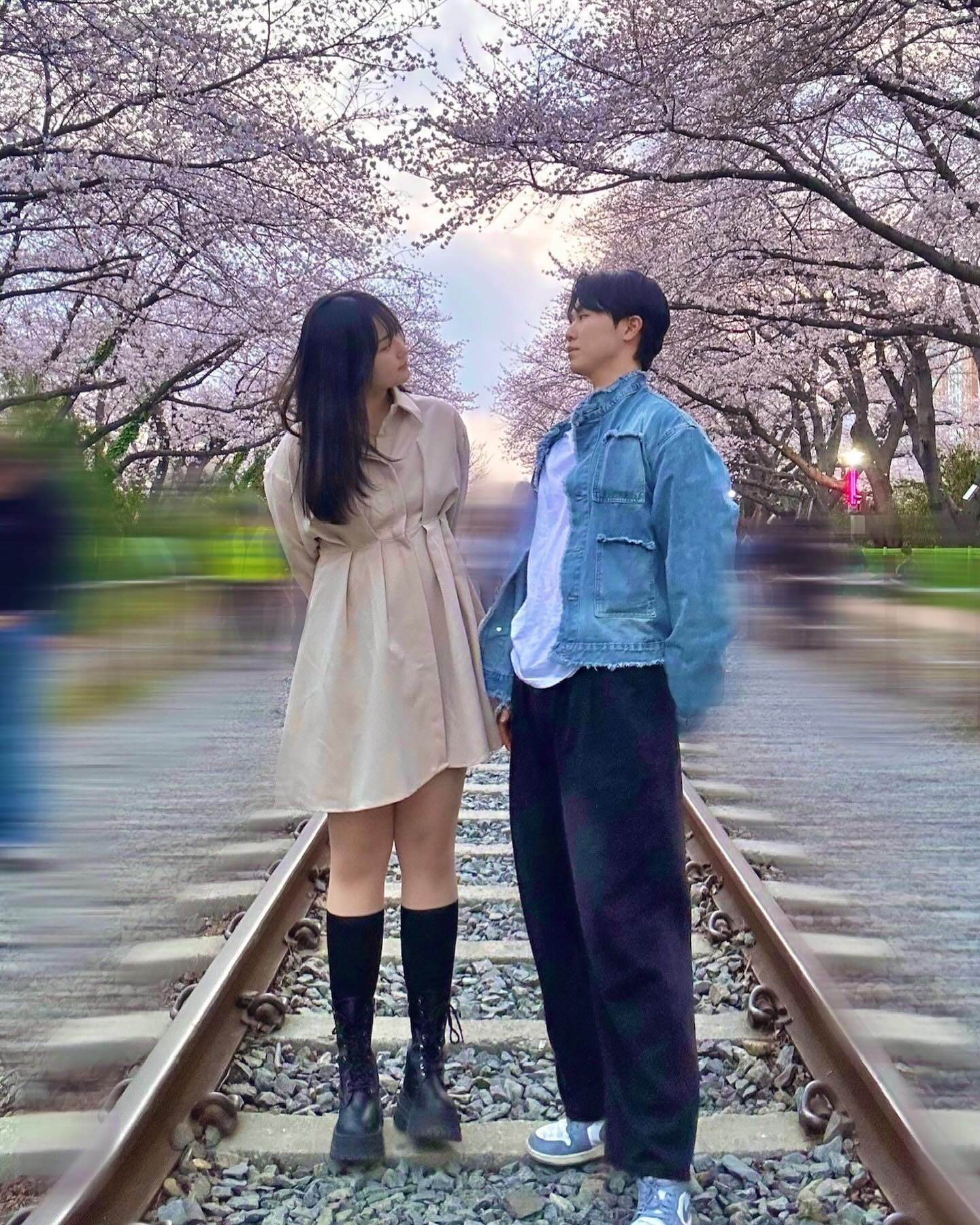 첫 벚꽃 🌸