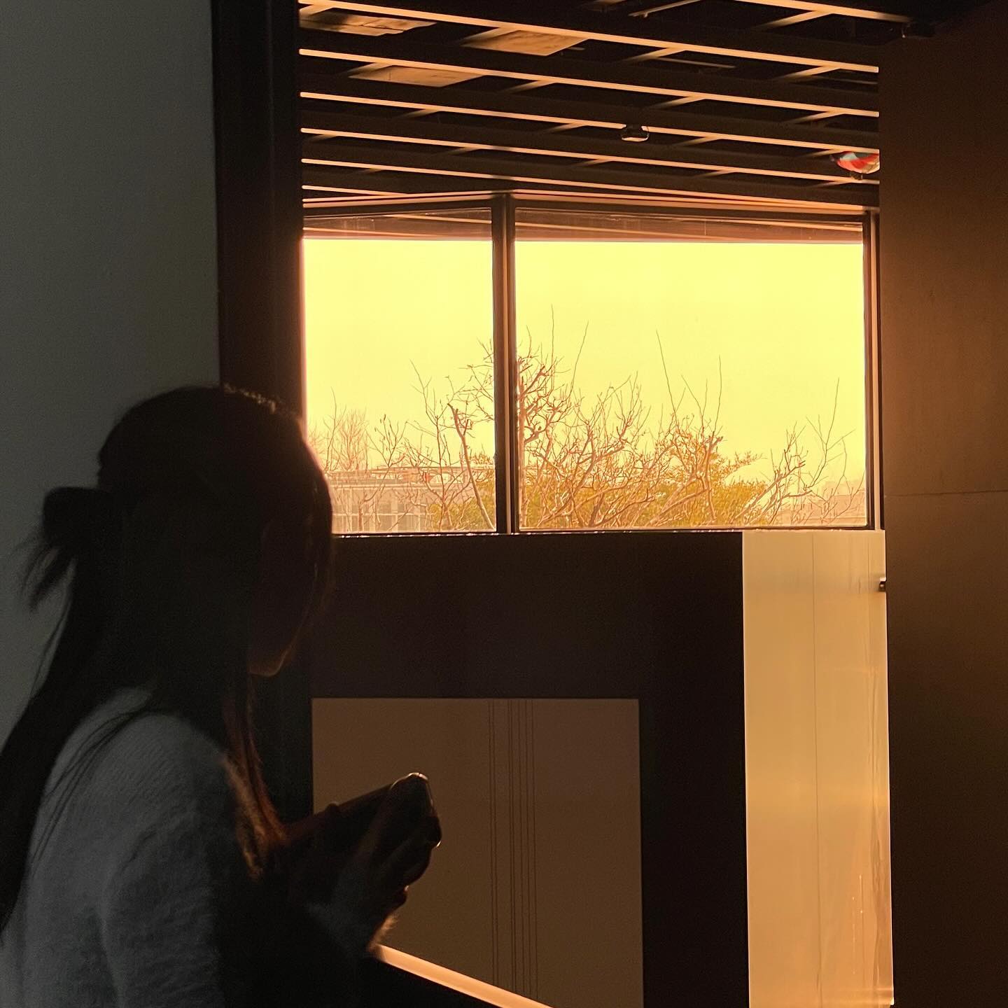 얼레벌레 얼렁뚱땅 굴러가지만
마냥 즐거웠던 짱구의 하루

philippeparreno <필립파레노 : 보이스>
leeummuseumofart