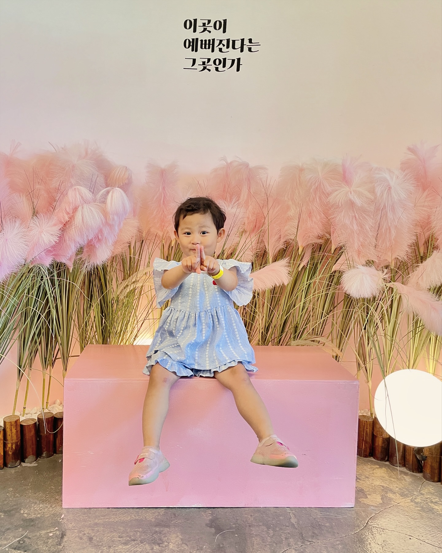 #일상

동물 좋아하는 연서띠👶🏻
동물원 노래를 부르길래다녀온 해피애니멀🐶🐷
시댁카페 근처에 있어서 냉큼 다녀옴!
내부는 협소하긴 하지만 동물들을 직접 민져보고
체험할 수 있는것이 메리트!!
알파카도 있고 사슴도있고 양도 있고!ㅌㅋ
애들이 굶주린것도 아닌데 채소만 보면 눈이 돌아...🙄ㅋㅋ
다양한 동물들이 있어서 2시간 순식간❣️
너무 즐겁게 놀고와땅 ㅎㅎ

#광덕 #광덕동물원 #해피애니멀 #동물많아요 #체험도하고 #즐거운하루