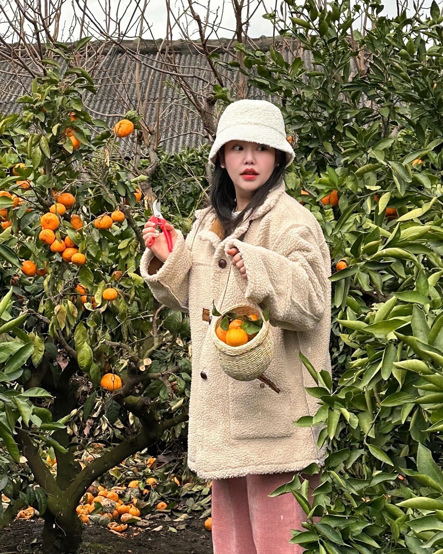 눈 내리는 날 귤따기 체험 🍊
엄마랑 둘이 열심히 체험함 😅

#밤비초_제주 #제주날씨 #제주도날씨 #서귀포카페 #제주핫플 #제주도핫플 #제주귤밭 #제주귤체험 #제주귤농장 #귤따기체험