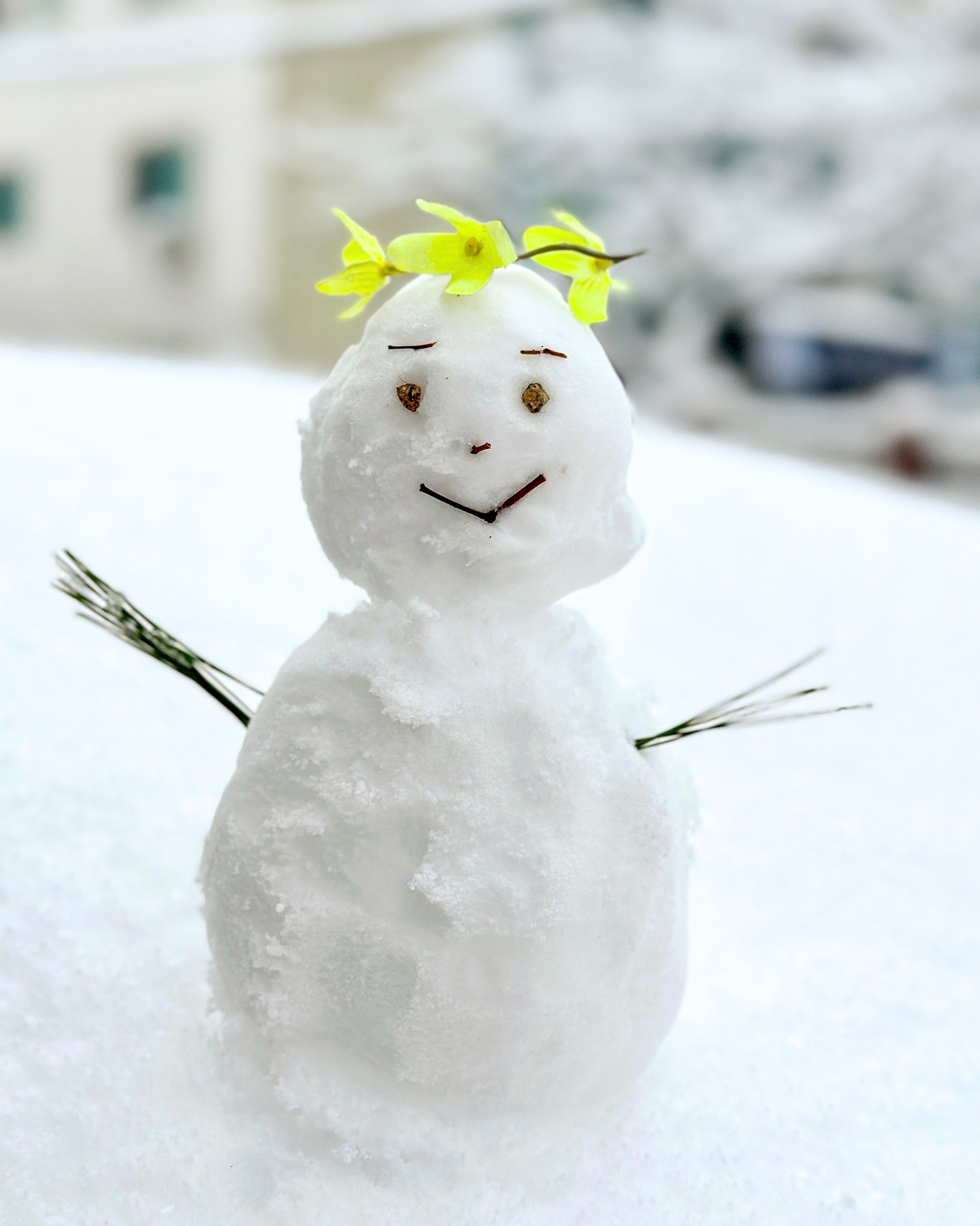 Mr.Snowman ☃️
