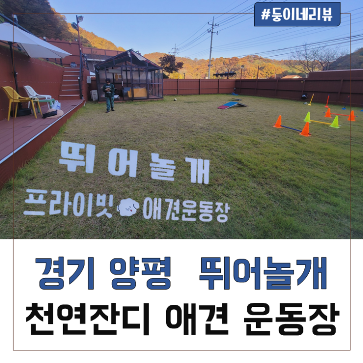 [경기/양평] 양평애견운동장 천연잔디에 단독운동장이라 최고로 좋았던곳!