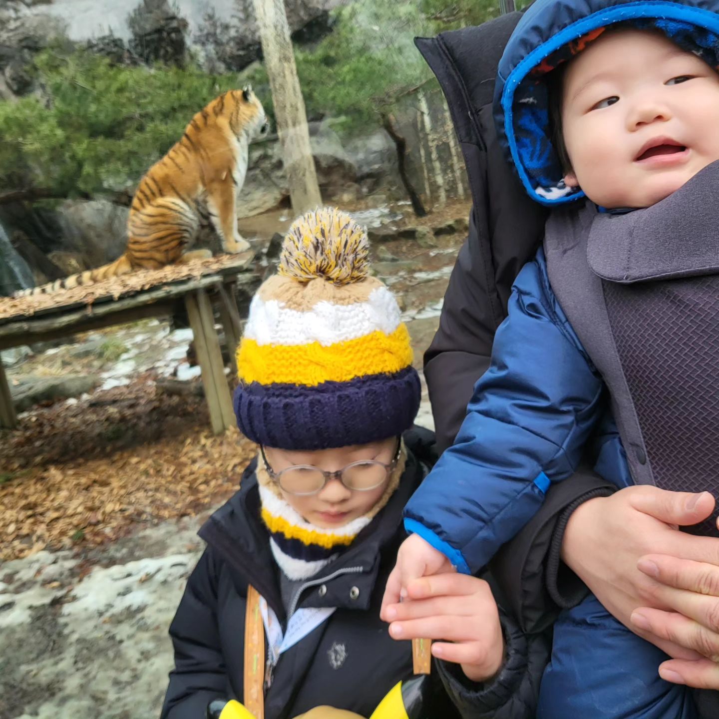 조카와 함께 둥이들 첫 에버랜드!
쌍둥이 둘 데리고 다니느라 너~무 힘들었어서
제대로 찍은 사진이 없다. 그게 너무 아쉽네😭
에버랜드 동물원을 이렇게 제대로 본 건 처음.
둥이들은 신기한지 오아오아 폭풍 옹알이ㅋㅋ
윰차도 가져갔지만 아가들 좀 더 자세히 보여주려고
아기띠를 더 많이 했더니 허리, 등, 어깨까지 안 아픈 곳이 없다ㅋㅋㅋ 아직도 휴유증이.....
좀 더 크면 또 시도해보자😆

#에버랜드 #아기랑여행