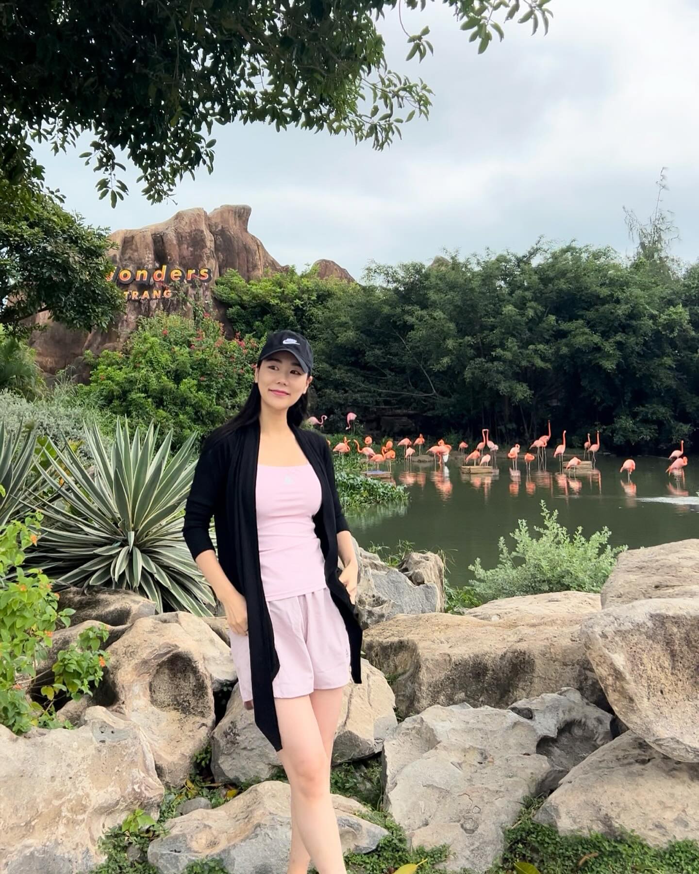 나도 홍학과 함께🐤