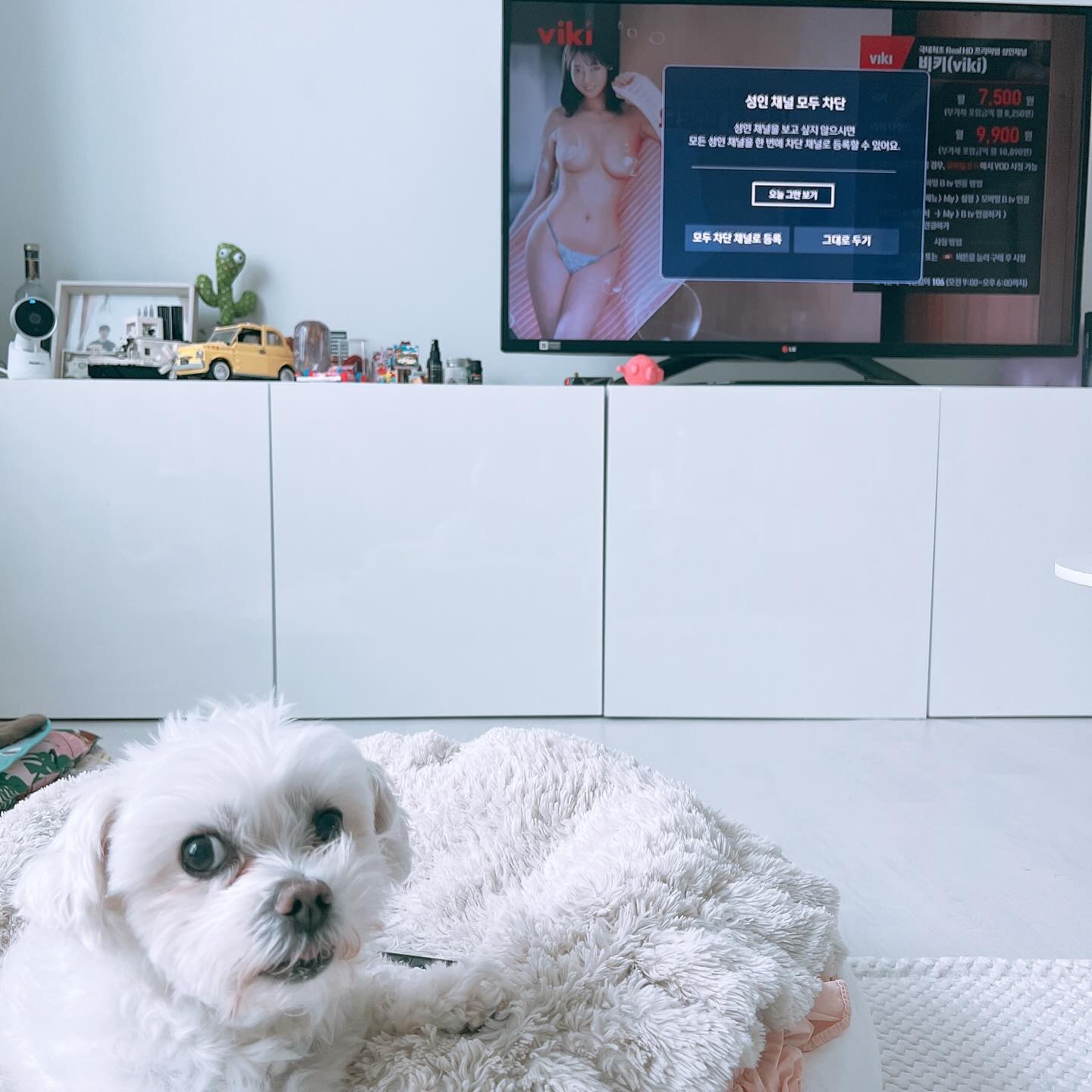 엄마가 안된다고했어!