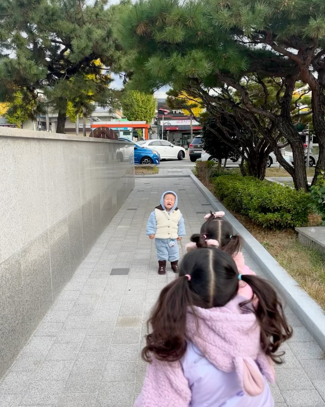 오늘도 신나게 하원 후 미술놀이❤️

나늠터에서 하는 미술놀이가는데…
신재민…젤리 달러고 고집부린다🤦‍♀️ 후…
결국 누나들에게 연행…!!!!

누나들은 신나게 만들기 놀이하고,
재민이는 밖에서 장난감 가지고 놀고,
저녁은 할미집에서 오리고기 야무지게 얻어먹고,
할미집에서 자고 싶다해서 누나들은 할집에서 낸내💕

아빠는 운동가고 자기전 댄스한마당
요즘 자기 전 필수 코스…ㅋㅋㅋ덕분에 오늘도 힘난다
지아 최애곡 after like, 재민이 최애곡 새삥, 수아 최애곡 that that
요것들ㅋㅋㅋ 리듬 좀 타는데…?❣️
그리고는 할미랑 비밀놀이 할거라고 빨리가래…
하하하ㅋㅋㅋ 거의 쫓겨나다시피 집에 재민이랑 옴😅
오늘도 잘자고 아침에 만나 사랑둥이들 알라뷰

#미술놀이 #나눔터 #성산구육아나눔터 #고집쟁이막내 #누나들에게연행 #할미집밥최고 #아빠는운동 #댄싱머신 #댄스타임 #할미랑비밀놀이 #잘자내일봐 #쥐띠아기 #쌍둥이맘 #딸둥이 #이란성 #생후1191일 #호랑이띠맘 #생후600일