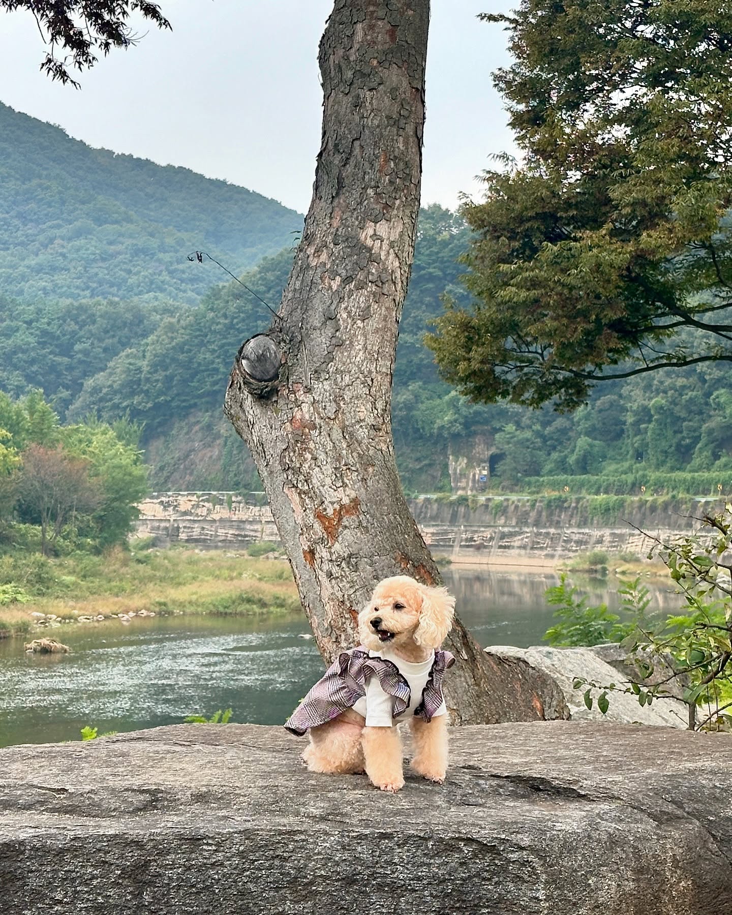 In 콘크리트정글🌲