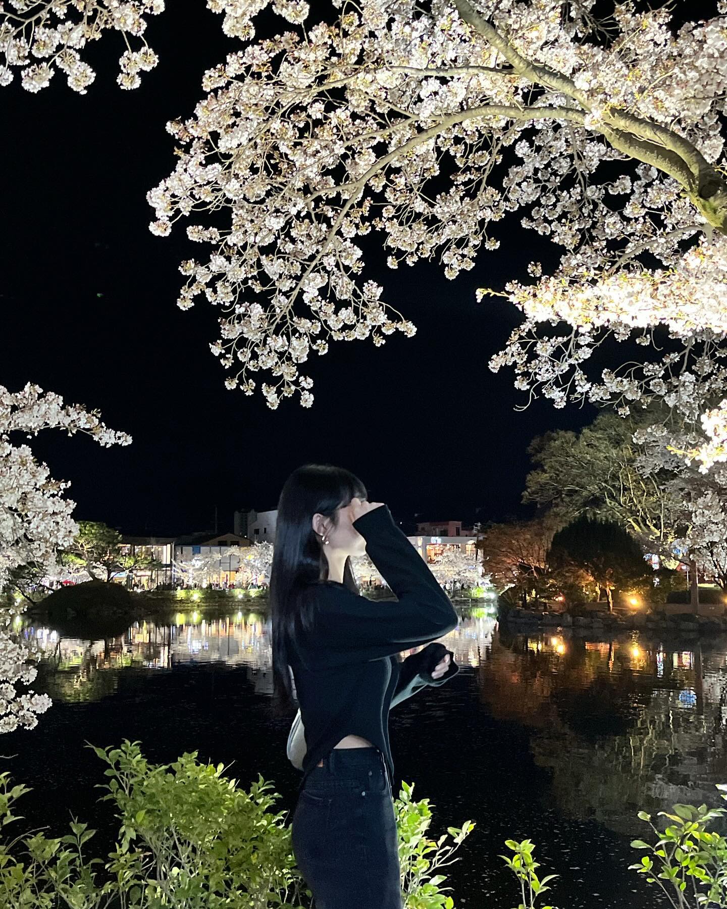 내 사랑들이랑 ••🌸🤍