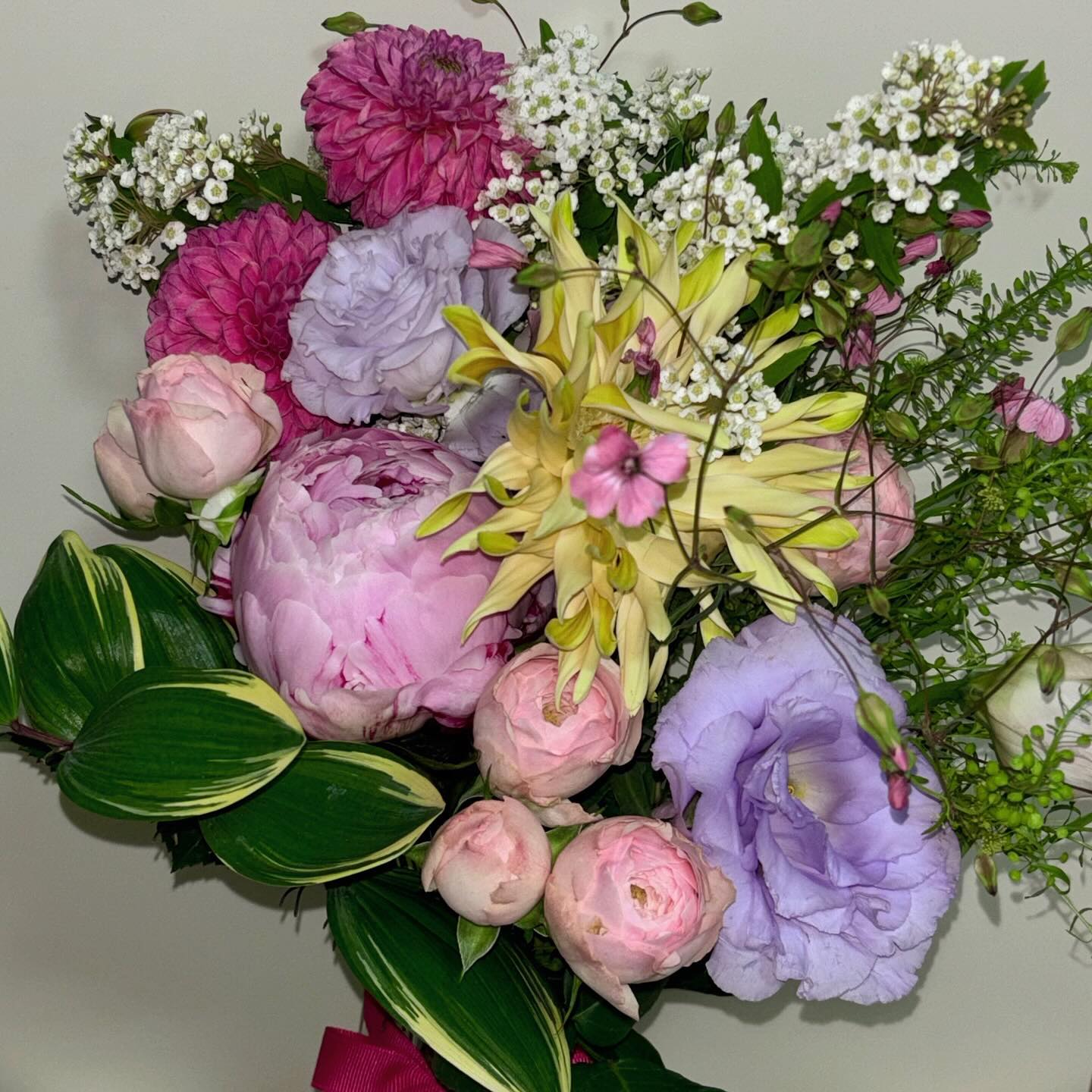 맨날 오래 못키우고 시들어서 꽃 안사주눈데
생일이라구 떼둔이가 꽃 사조따🌷
꽃병이 없어서 레고 꽃 넣어두던거 뽑아버력다