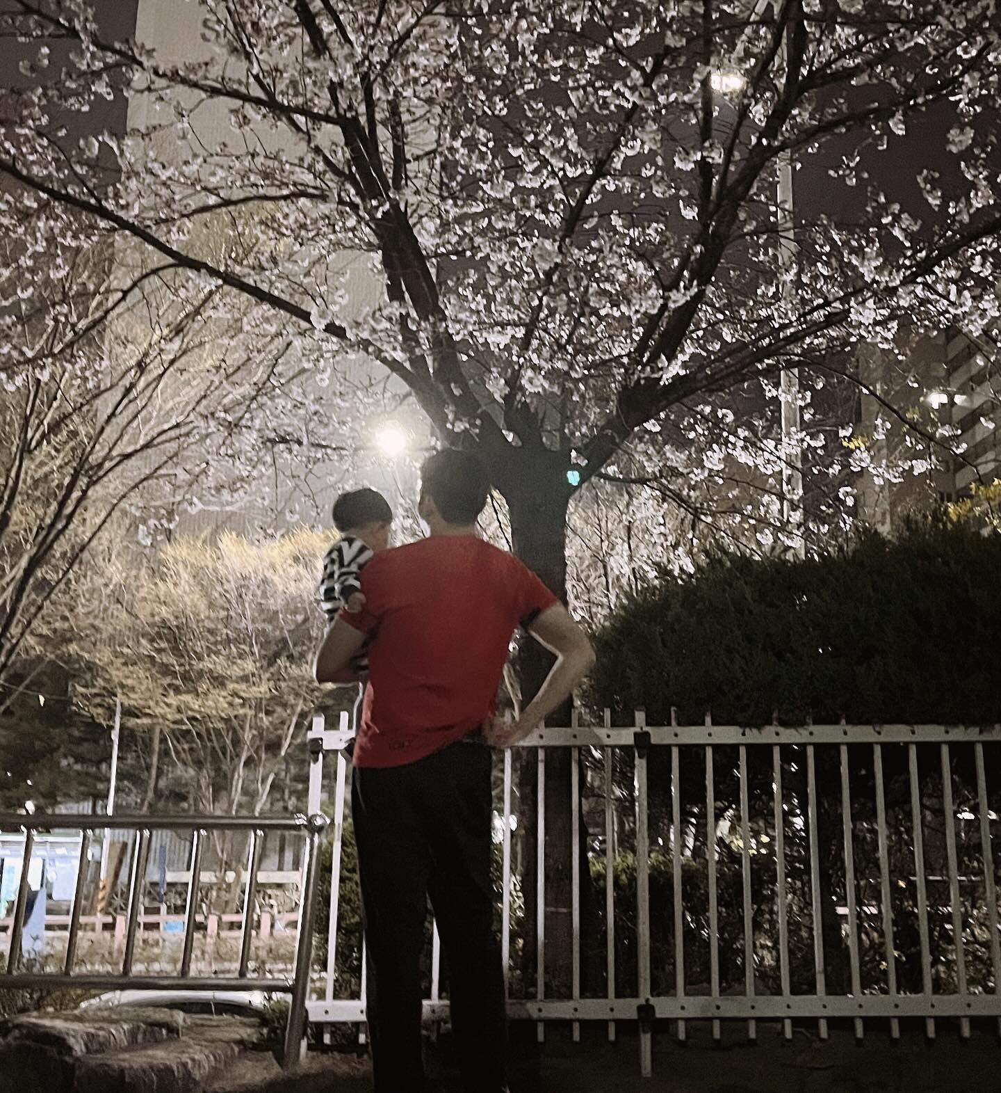 아빠 & 또현 (+477👶🏻)

이제 정말 시간이 없따.. 
뽀미 탄생 D-28이그든요 🤍
막달이라 숨차고 소화안되고 잠도 안오고 죽겠는거 
두번째인데도 너무 낯설다 증말 ......... 

태동은 왜이렇게 쎈지🫨
도현이도 갈비뼈 부러트릴것처럼 발길질이 장난 아니었는데 
이번에도 만만치 않은 녀석이 올거같아요...?! 

건강하게 만나자 우리 공주 🤍

#둘째 #15개월아기 #육아 #육아소통 #출산임박 #둘째맘 #아들육아 #딸육아 #육아일상