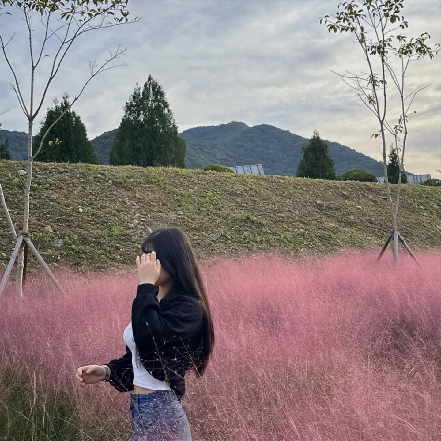 나도 핑크뮬리 봐따 (*'▽'*)