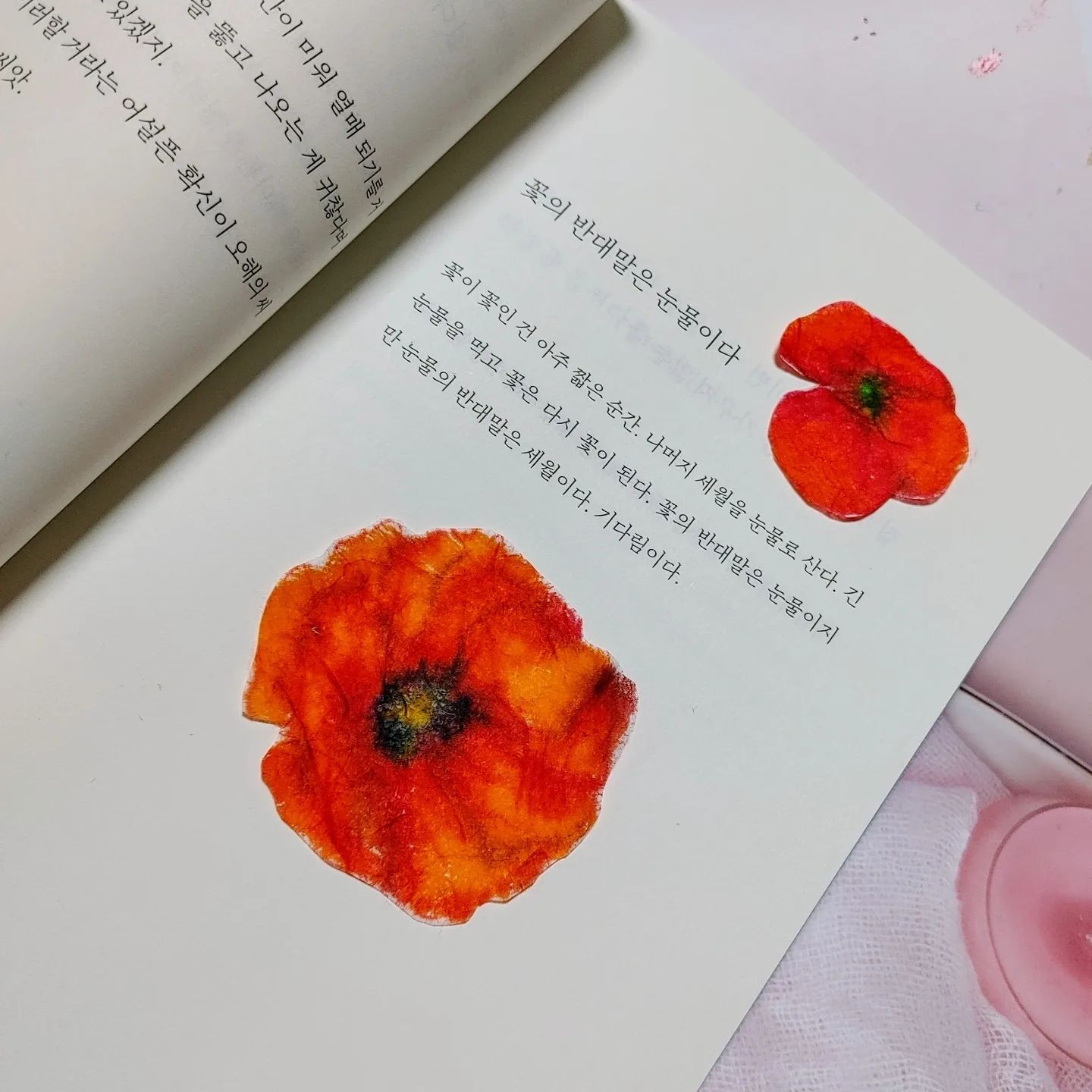 #순간울컥
#인생을건너는한문장
#정철
#꽃의반대말
#김영사

꽃의 반대말은 눈물이다

꽃이 꽃인 건 아주 짧은 순간.
나머지 세월을 눈물로 산다.

긴  눈물을 먹고 꽃은 다시 꽃이 된다.

꽃의 반대말은 눈물이지만 눈물의 반대말은 세월이다.  기다림이다.