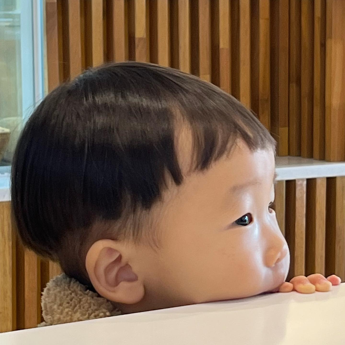 우리집 겸디 밀착취재ㅋㅋㅋㅋㅋㅋㅋㅋ🤎