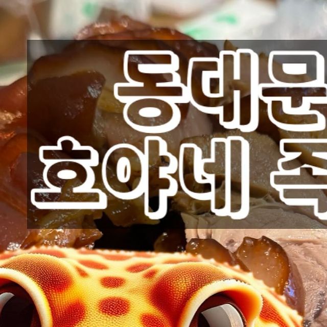 zupzup animal on Instagram: "안녕하세요! 동물집사 줍줍입니다 오늘은 동대문 족발 맛집 호야네족발을 다녀왔어요!! 가게 문을 여는 순간 감성이 정말 제 취향저격이더라고요!! 제가 레고랑 영화