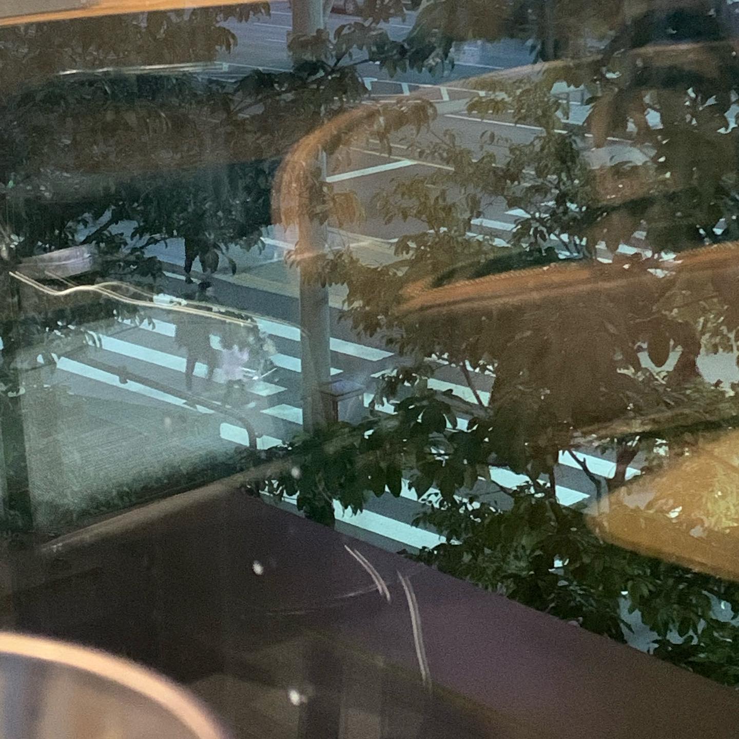 -
요즘 신도림에 자주 간다.
적당히 애인과 퇴근 후에 만날 수 있는 중간 지점이랄까.

히고 싶은 말도 쓰고 싶은 말도 정말 많은데 그건 대부분 감정의@폭풍이라서 메일이나 나만보기 블로그 이런데다가 적어두기로 해. 간략하게 요약해 보면 우선

1. 잘 쉬고 싶다.
생각보다 쉬는 법을 몰라서 오늘 카페가서 일을 했다. 수업준비가 힘든 건 아니지만 한시간에 피피티 하나를 완성해야 하는데 두 세시간이 걸린다. 아주 효율이 떨어진다. 과정이 즐겁긴 하지만 일을 하는 건 쉬는 게 아니라서 오늘 나는 쉬지 못했다.

2. 최선을 다했다.
입시가 두려울 만큼 뭔가 불타버렸다. 연소 되어버렸다. 서울예대 문예창작과에 가서 대학라이프를 즐긴다는 것에 대해 다시 생각해 보게 된다. 이 년간 최선을 다했다는 객관적 증거가 세가지 이상이라고, 잘했다고, 최선을 다했다고, 좀 쉬어도 된다고 그런 말을 듣고 또 줄줄 울었음. 나는 아무 데서나.. 울었다. 내 시의 구절처럼. 아무 데서나 울 수 있다. 아무튼 최선을 다핬으니 후회는 없다는 진부한 이야기.

3.(입)시와 인생의 주객전도
내가 시에 빠진 언지 입시에 빠진건지 알 수 없었던 한 달이었다. 멘탈을 잡을 수가 없었다. 덕분에 오늘은 신경증 환자 처럼 메스껍고 어지럽고 두통과 공황직전의 역겨움에 시달렸다. 마음도 정신도 편하지 않다. 자꾸만 시가 만저가 된다. 인생의 우선순위를 다시 세울 것. 내가 먼저가 되어야 한다. 내가 살아야 오래 시를 쓴다. 잘쓰고 오래 쓰는 게 중요하겠지. 꾸준히 계속 쓸 수 있는 힘을 잃고 싶지 않다. 지금은 (입)시가 좀 두렵다.
 
4. 지금 살고 있는 집을 나가야겠다/ 아이를 갖지 않겠다
오늘 갑자기 든 생각. 원래는 정 반대의 생각을 가지고 있었음.
독립은 최대한 늦게, 아이는 최대한 많이. 누구나 다 그렇겠지만 불안정한 미래 계획 인생은 어떻게 될지 모르기 때문에 또 손바닥 뒤집듯이 바뀔지 모르지만 아이의 인생 전반부를 행복하게 해 줄 자신이 없음. 사랑 할 용기가 안남. 이건 진짜 오늘의 생각이니 언제 또 아이 열명 낳고 기를 거라고 할지 모르는 얘기.

5. 건강악화 
의사가 하지 말라는 거 다하고 하라는 거 다 안함. 그래서 어떤 증세가 와도 원인이 다 해당되어서 밝혀낼 수가 없음. 그리고 날 아껴주는 일이 너무 힘들어. 집에 들어오기 싫은 것과 집을 정리하지 않는 악순환의 반복. 비만으로 생기는 문제도 분명 있을 터. 걱정 되지만 자기파괴적인 행위를 그만 두는 연습을 먼저 하는 것을 목표로 한다. 예를 들면 지금처럼 다음 날 일찍 일어나야 하는데 늦게 자기같은거. 쉬는 법도 모르면서.. 잠도 재대로 안자는 거 정말 혼나야해. 끼니 제대로 안먹는 것도 혼나야해. 혼나도 되니까 누가 차려주면 좋겠음. 촤하하.

—-
10월을 쉽게 났다. 사랑할땐 누구나 최악이 된다를 짬내면서 보고있다. 사랑하게 될것 같은 느낌야. 내가 좋아하는 것들을 오랜만에 봤고 마음이 움직였다. 그래 나는 이런걸 좋아하는 사람이지, 하고 깨닫는데 뭉클 했고 감동이었다. 나도 내가 좋아하는 걸 해야지. 인스타에 글쓰는 것도 내가 좋아하는 거라고 굳이 굳이 잠자는 시간을 줄여서라도 하려고 하는 것.

번외 )
빛으로 비추신다. 어둠이 드러난다. 빛으로 일어서고 어둠을 밝히신다.
의지 할 수 있는 대상이 있다는 건 젛은 건데 내가 의즤를 못하는 중임.
은혜 믿음 행동 이거 다 관련이 있는데 설명하려는 건 아니고 나는 크리스찬의 정체성에 대해 고민한다. 어떻게 살아야 크리스찬인게 아니고 내가 사는게 크리스찬 이라고 생각이 들었거든. 그러니까 오늘 잠실제일 핫가이가 한 말을 빌리자면 아버지 얼굴에 먹칠하지 않는.. 이건 아직 생각이 다 정리되지 않아서 다음번에 정리 되면 말해 줄게. 주님 뜻이 아니면, 나는 사실 다 상관 없다. 그리고 그게 맞다. 이해가 안 되도 다 이해 되는 날이 올 것 이다. 지금 나는 내가 무엇을 해 낼 것이라는 뽕에 차있다. 우습다. 내가 계획한 길들은 싸그리 무너져도 주님의 계획은 신실하시고 가장 좋은 것만 예비 하셨음을 믿는다. 이게 오늘 내가 받은 은혜였다. 그걸 인정하면 마음이 편해지는데 지금 나는 내가 내 인생의 주인으로 살려고 아등바등 애를 쓰고 있다. 주객 전도다. 시가 주님보다 중요할리가 없는데 그러고 있다. 나는 피조물이고 주님이 원하시는 길이 아니라면 힘든 길이 당연하다. 생략한 내용이 많다. 조만간 블로그에 길게 쓰겠음. 정리가 안되어서 그렇지 쓰고 싶은 말이 많다…더보기
