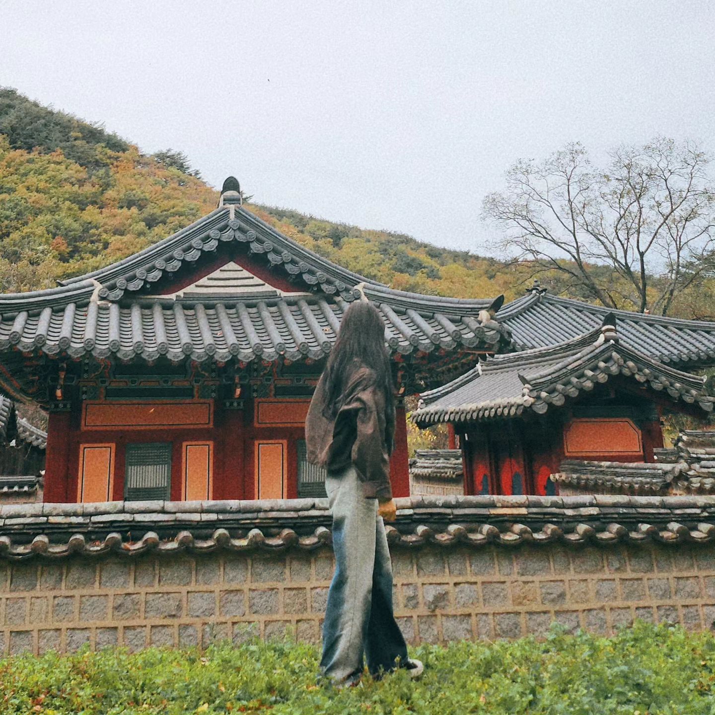 #🍂 
어느새 시간은 흘러
우리에게 다가 온 #가을
짧기에 더 귀해지는 계절이다
#autumn 
#photoby sinbi._