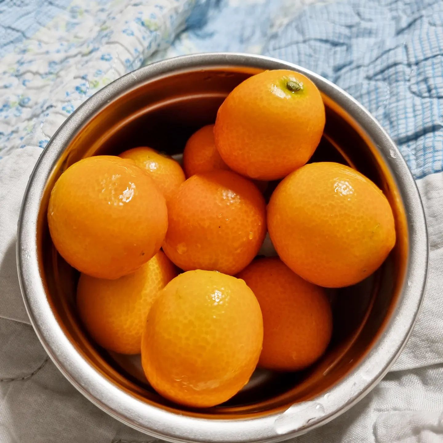 #금귤 맛있다
독감 걸려 아픈내내 금귤이 그렇게나 먹고싶었다
고민하다가 인터넷주문 해서 받은 금귤
크기도 맛도 지멋대로라 좀 실망인데 그래도 좋네♡

이맘때 엄마랑 시장가면 졸라서 사왔던 금귤
오랜만에 먹으니 더 좋아

스트레스 받아서 그런지 소화도 안되고, 속도 쓰리고
요즘 진짜 사는게 사는거같지 않다

#제주금귤
