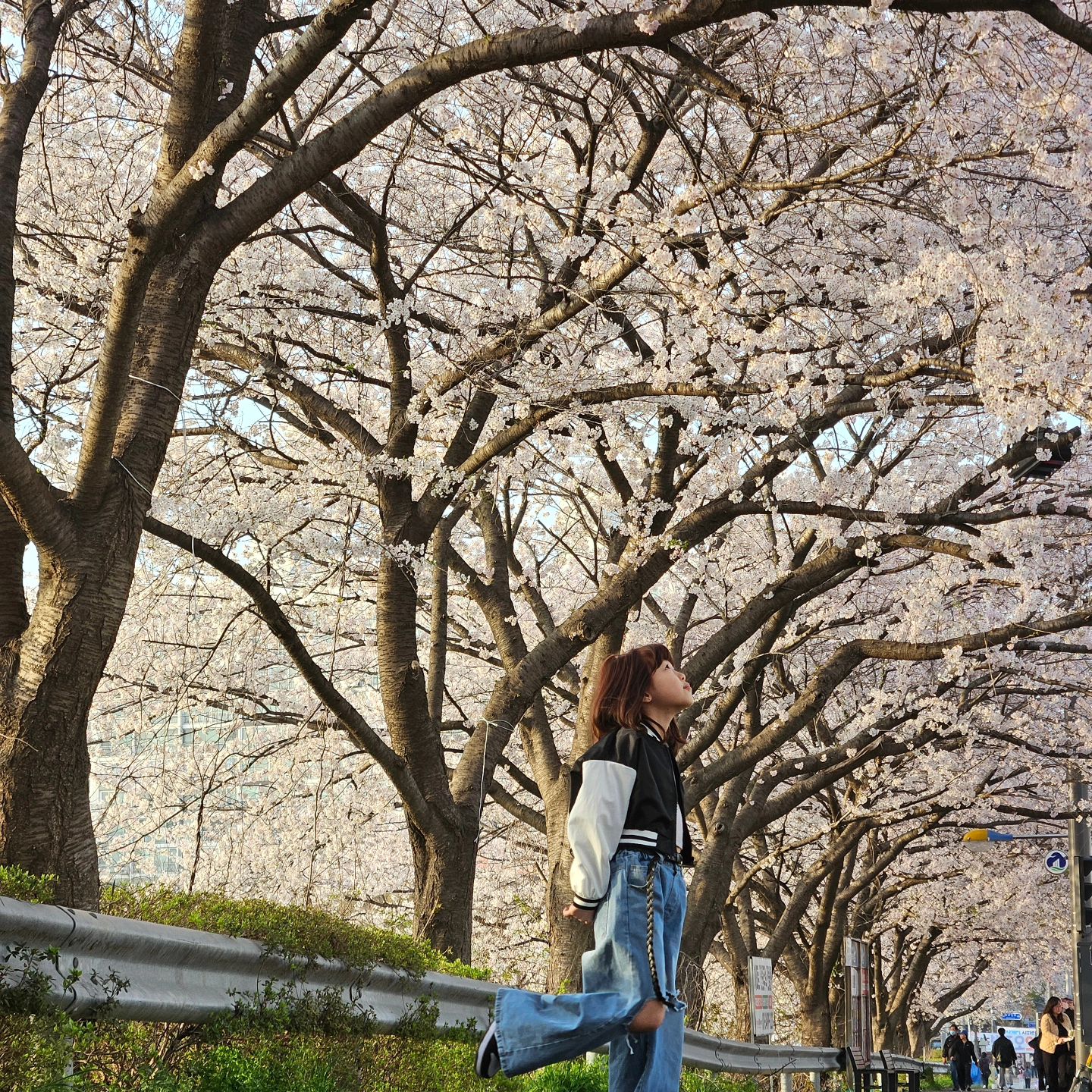 #일상기록 

아주 무럭무럭 잘크고있음❤️

#벚꽃 #문남매일상 #사랑해❤️