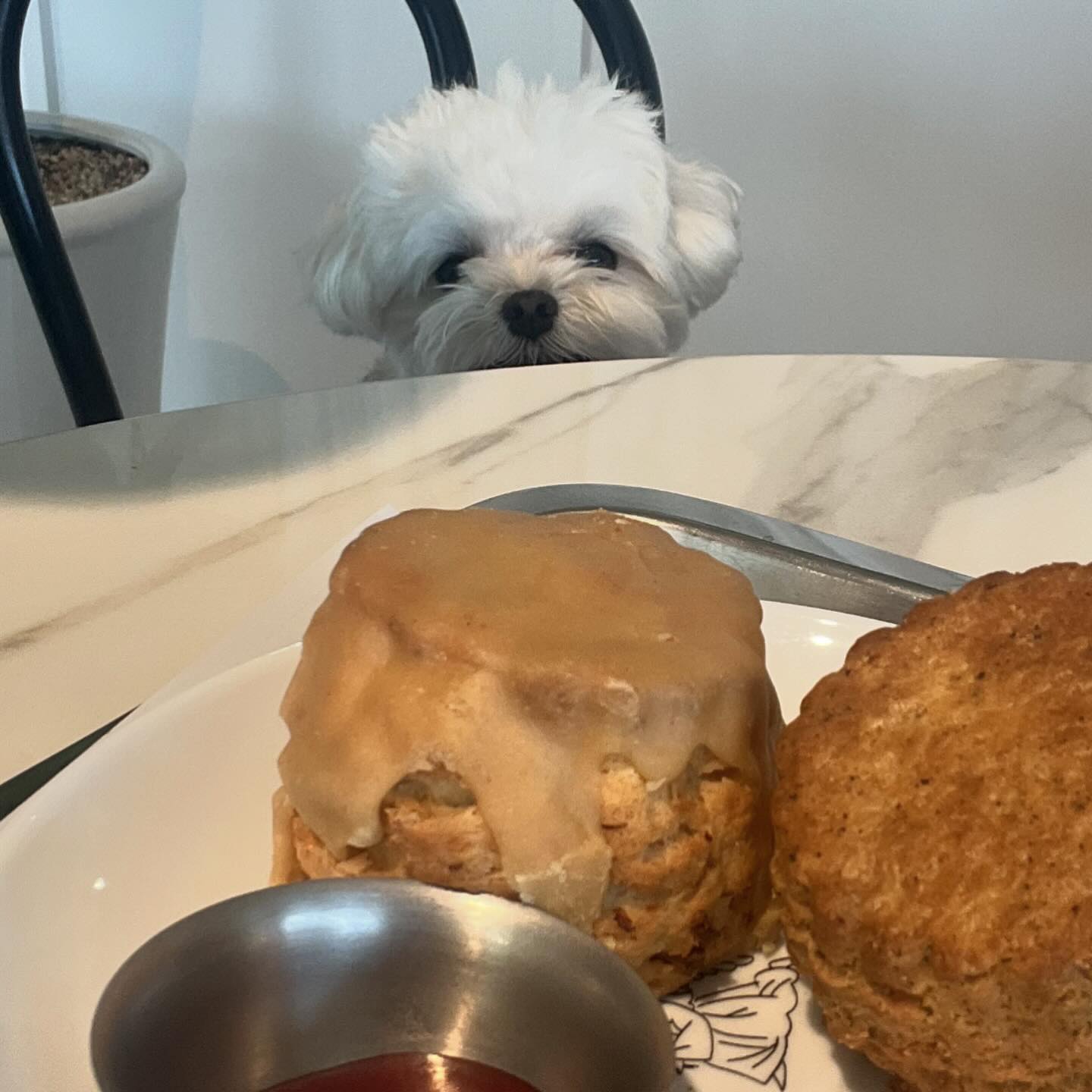 율무쓰 나도 주라 모음집.jpg 🐶🐷🍗

#한입만