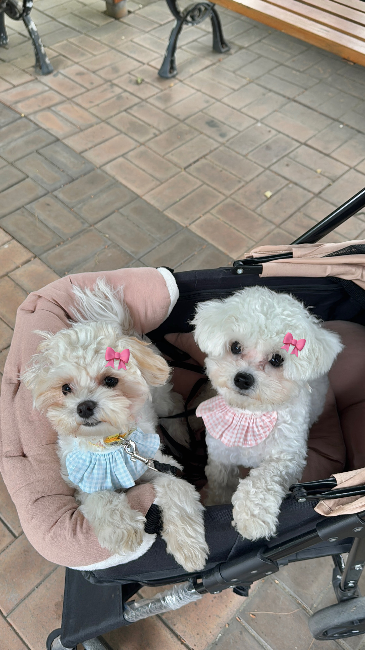 콘텐츠