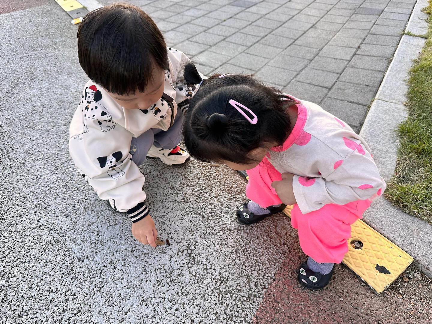 같은반 친구😊 

아기때 자주 만나던 친구 같은반 되서 하원 하고 공원

송충이 보고도 재미있어 하는 나이 ㅎㅎㅎㅎㅎㅎ

#동갑내기 #공원산책
