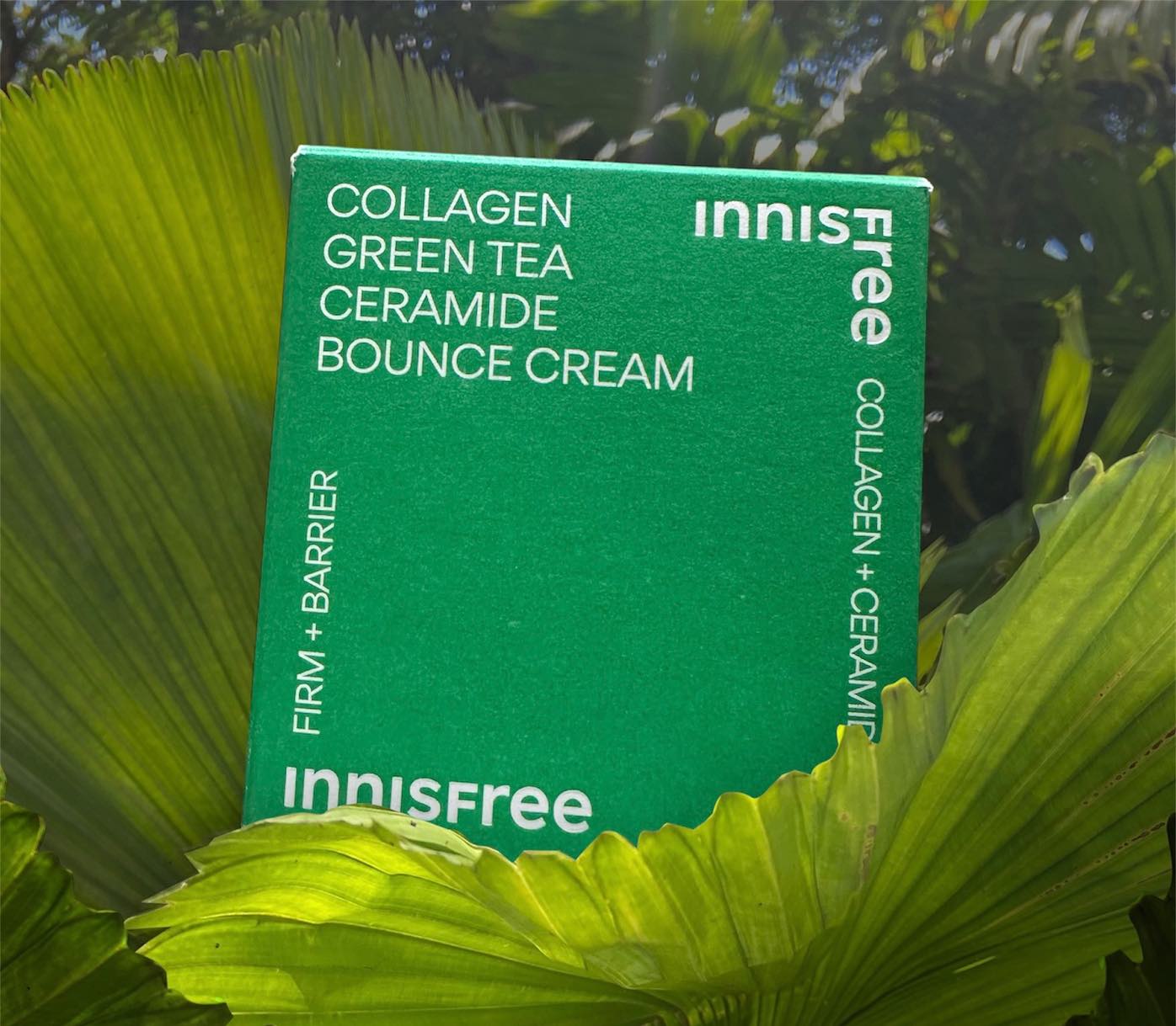 #광고 innisfreeofficial 
이니스프리 콜라겐 그린티 세라미이드 탄력장벽 크림✨

이니스프리라니 🤭🤭콜라겐 크림 
풍문으로 좋다고는 들었는데 직접 써보게 되었다뤼
꾸덕한 제형에 가깝지만 촉촉하다🫧향은 무향!
마스크 자국 그만 좀 남고 싶다😷

#15그램  #15그램뷰티 #15그래머 #이니스프리 #이니스프리콜라겐크림 #콜라겐크림 #하트존탄탄크림 #속탄력크림 #탄력크림추천 innisfreeofficial