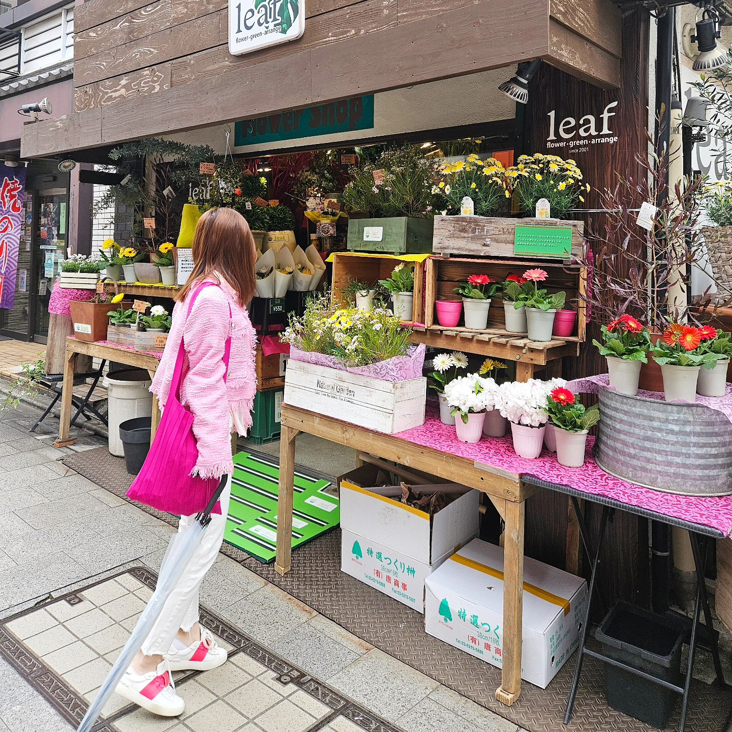 도쿄의봄🌸