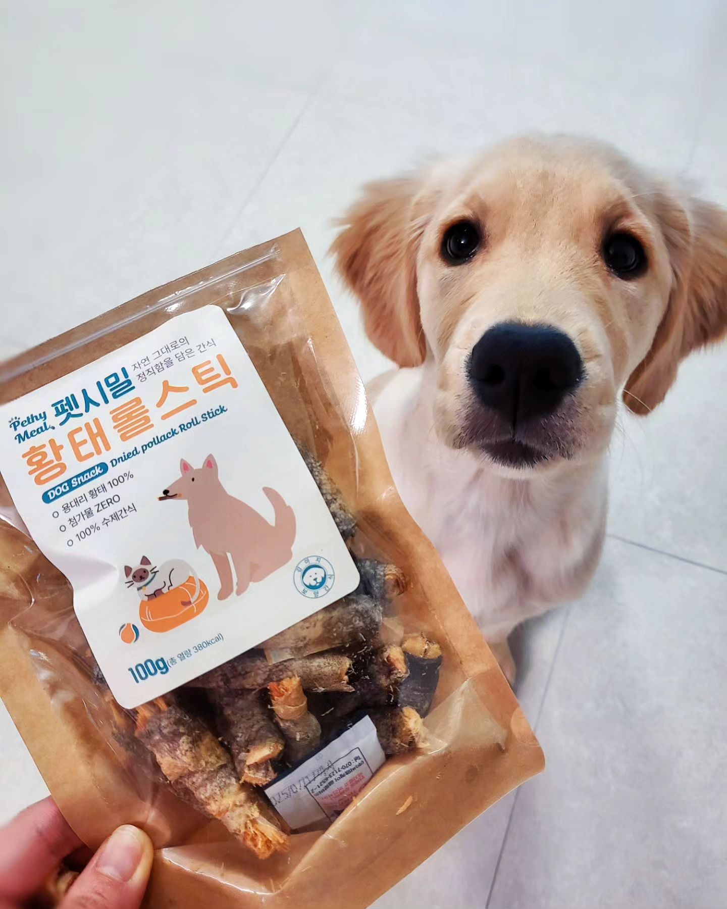 #협찬 pethymeal
펫시밀 수제 용대리황태 롤스틱🐶

씹는 재미가있는 황태롤스틱은 스트레스에 도움을주는 건강한간식 이에용😋

울 미소랑 쿠키 둘다 넘 맛나게 잘먹고 저염분간식이라 아가들 무게가 늘거나 붓는 효과도 없어서 믿고 먹일수 있어요👍

인공 첨가물 없는 건강한간식을 울 댕댕이들에게 선물해주세요🤗
.
.
.

#강아지간식 #펫시밀 #황태롤스틱 #황태수제간식 #용대리황태#애견간식#댕댕이간식#강아지황태#댕스타그램#댕댕이그램 #포메스타그램 #골든리트리버 #애견모델#댕댕이모델#댕팔해요