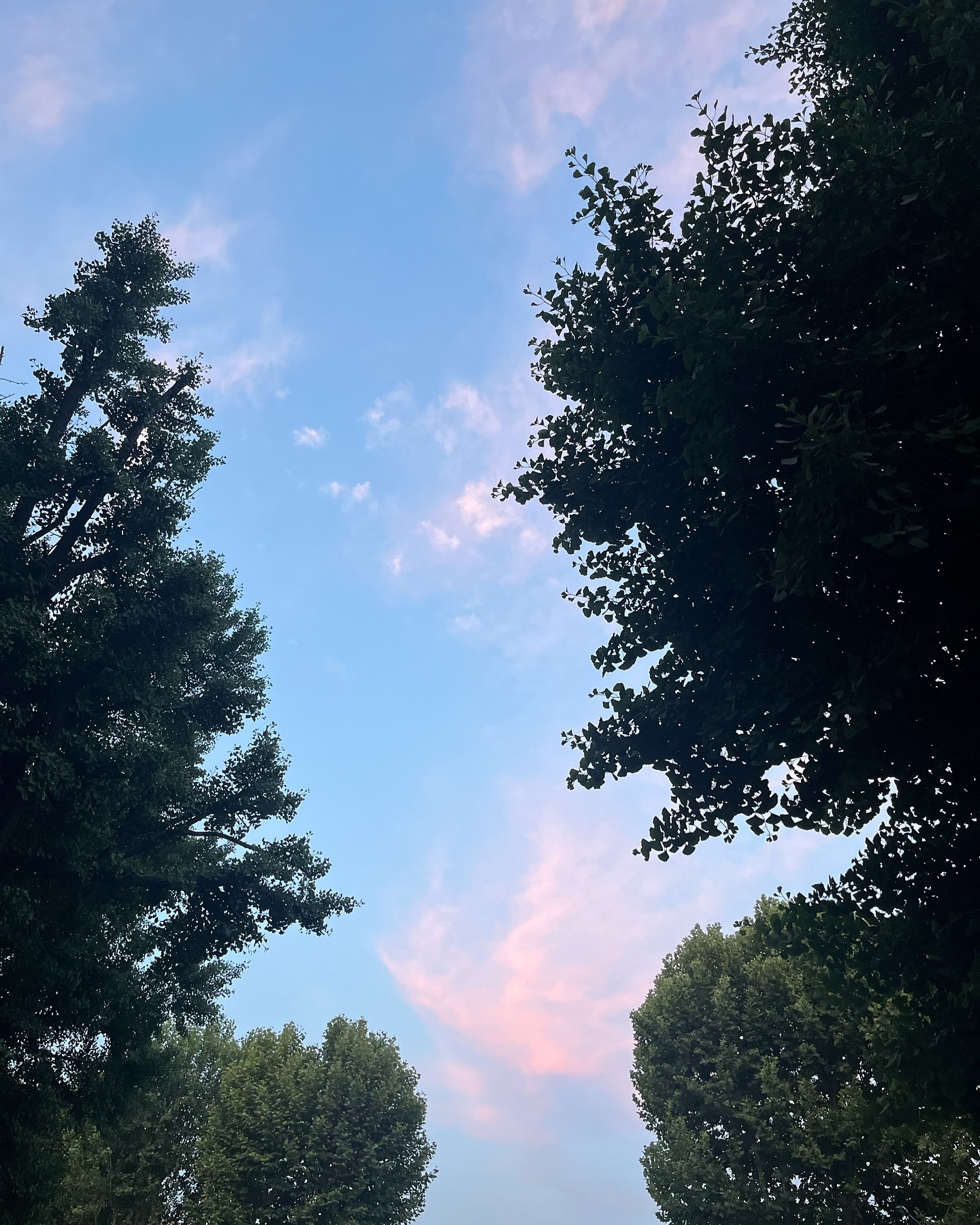 AM 5:00 ☁🩵