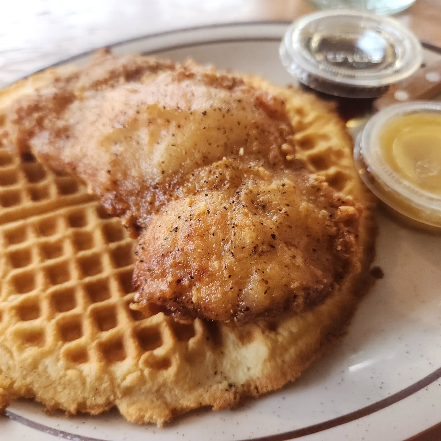 _20241208 #센_Fat'sChicken&Waffel
♤2726 E Cherry St, Seattle, WA 98122

#센_재방문각 🙆‍♀️
오랜만에 너무 기분좋은 외식!
치킨&와플의 기원을 찾아보니 소울푸드와 팬실베니아 지역의 독일계 커뮤니티의 합작(?)
위키피디아의 '썰'이기 때문에 판단은 알아서

무튼,, 내가 이걸 한국에서 한번 먹어본적이 있고 그 이후론 처음인데 오늘 간 곳에서 느낀점은 오 여기 요리 할줄 아네~였다

치킨이 굉장히 부드러웠도 간이 약해서 다른곳에서는 밥먹고 나면 계속 물이 고픈데 여긴 전혀 그런게 없었다
오히려 내가 소금+후추+매운소스 더 넣어서 먹음!

음식이 나온 모양새를 보고 어떻게 먹어야 잘 먹을 수 있을까 고민끝에 와플을 번 삼아 샌드위치를 만들어 먹었다! 와플을 반으로 자른 후 한쪽면에 시럽과 버터를 잘 발라준 다음 와플반쪽-치킨-와플반쪽으로 쌓아주고 그걸 반으로 자르면 아주 깔끔하게 먹을 수 있다! 다른테이블 사람도 와서 물어보고 팁 얻어감ㅋㅋㅋㅋㅋ먹보로써 뿌듯하달까ㅎㅎ

한단계 더 나아간다면 내가 추천하는 방식은 와플샌드위치를 만들어 반은 버터+시럽만 뿌려먹고 나머지 반은 cholula 핫소스를 치킨에 발라서 먹어볼것! 느끼한것고 잡아주고 마치 핫치킨 버거 먹는 느낌으로 1메뉴 2가지 맛을 누릴 수 있음!

오늘은 아무것도 추가안하고 그냥 먹었는데 다음엔 그레이비를 추가하거나 다른 메뉴도 도전해보고 싶다!