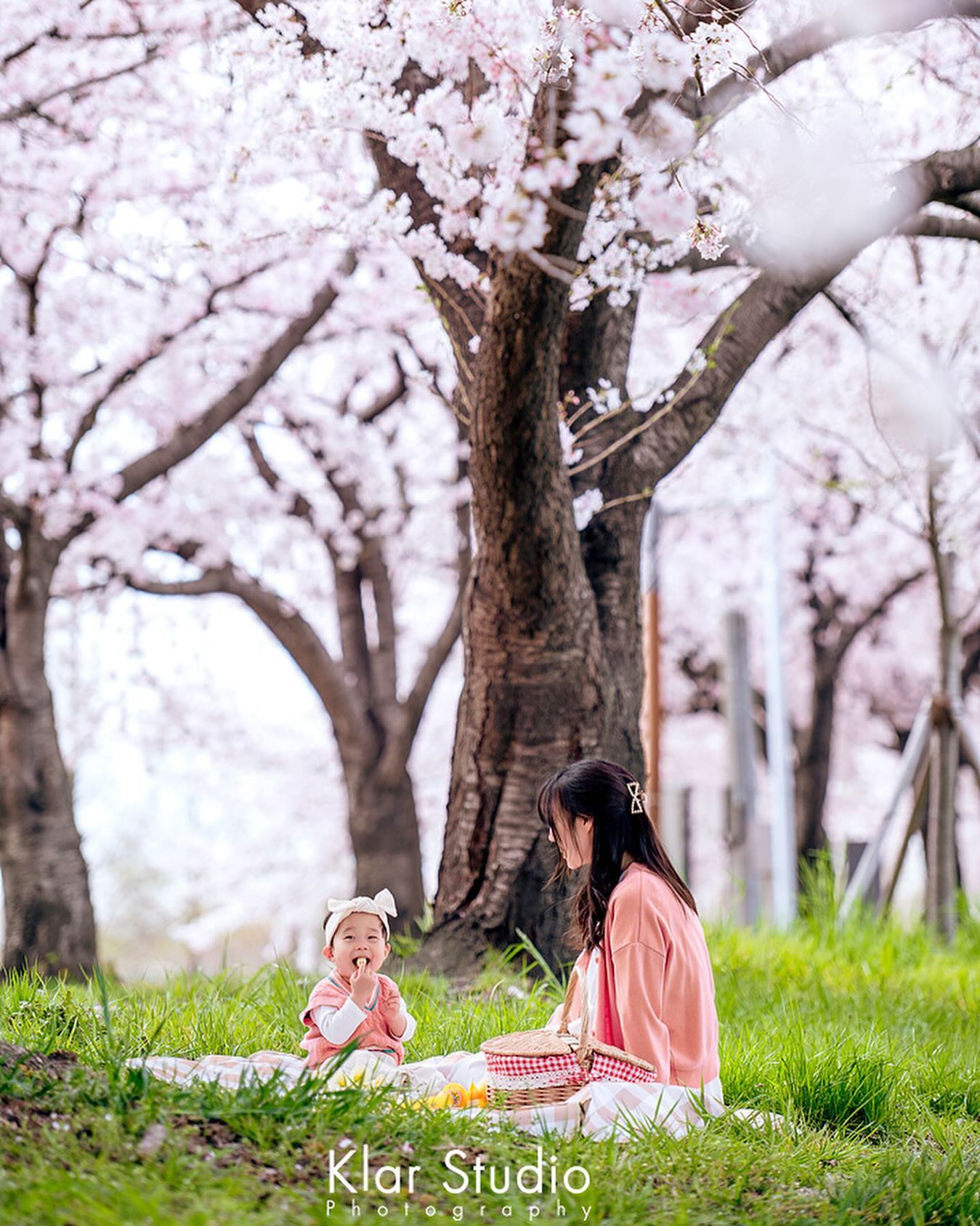 🌸벚꽃놀이🌸
⠀⠀⠀
로운이네도 가까운 공원에가서 
벚꽃나들이 다녀왔어요ෆ
스토리에 사진 올렸다가 디엠이 쏟아져서
피드에도 냉큼 올려봅니다💕
⠀⠀⠀
사진이 너무 예뻐서 놀라셨죠?
다들 누가 찍어줬냐 어디서 찍었냐 
궁금해하셔서 알려드려요

협찬은 아니고 지인 이모,삼촌이 
스냅작가분들이셔서 예쁘게 담아주셨어요
klar_snap.official
⠀⠀⠀
진짜 너무 예쁘게 나와서 감동(˃̵͈᷄⌓˂̵͈᷅)
잊지못할 추억이 되었어요🫶🏻
⠀⠀⠀