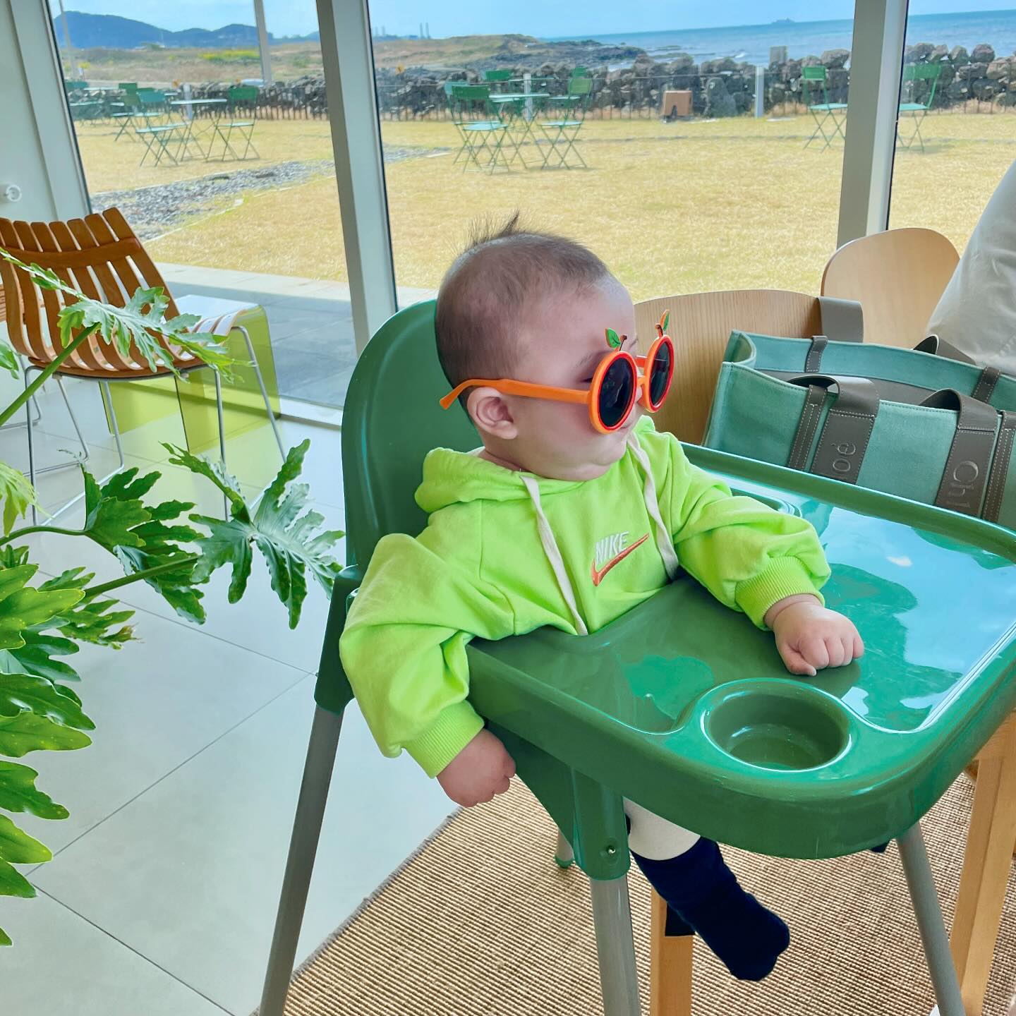 초록초록 김해빵이 제주여행🏝️

#김해빵
#5개월아기제주여행