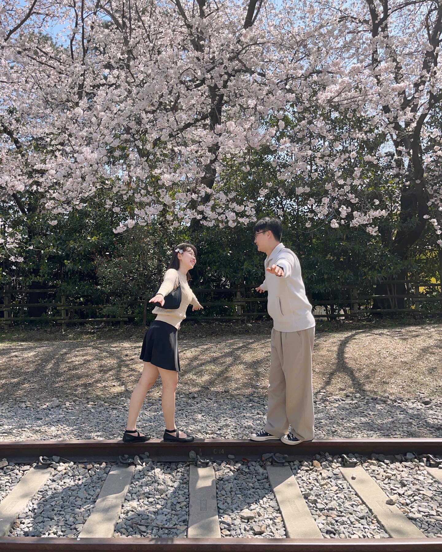 진해 경화역에서 7번째 봄🌸🩷
