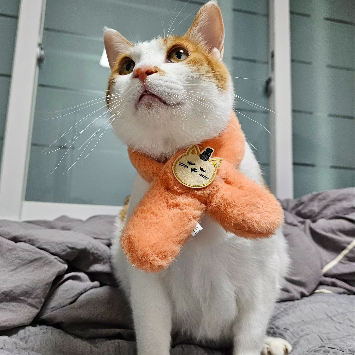 ⠀
조공목도리 찰떡..🧡
#혀수납까묵