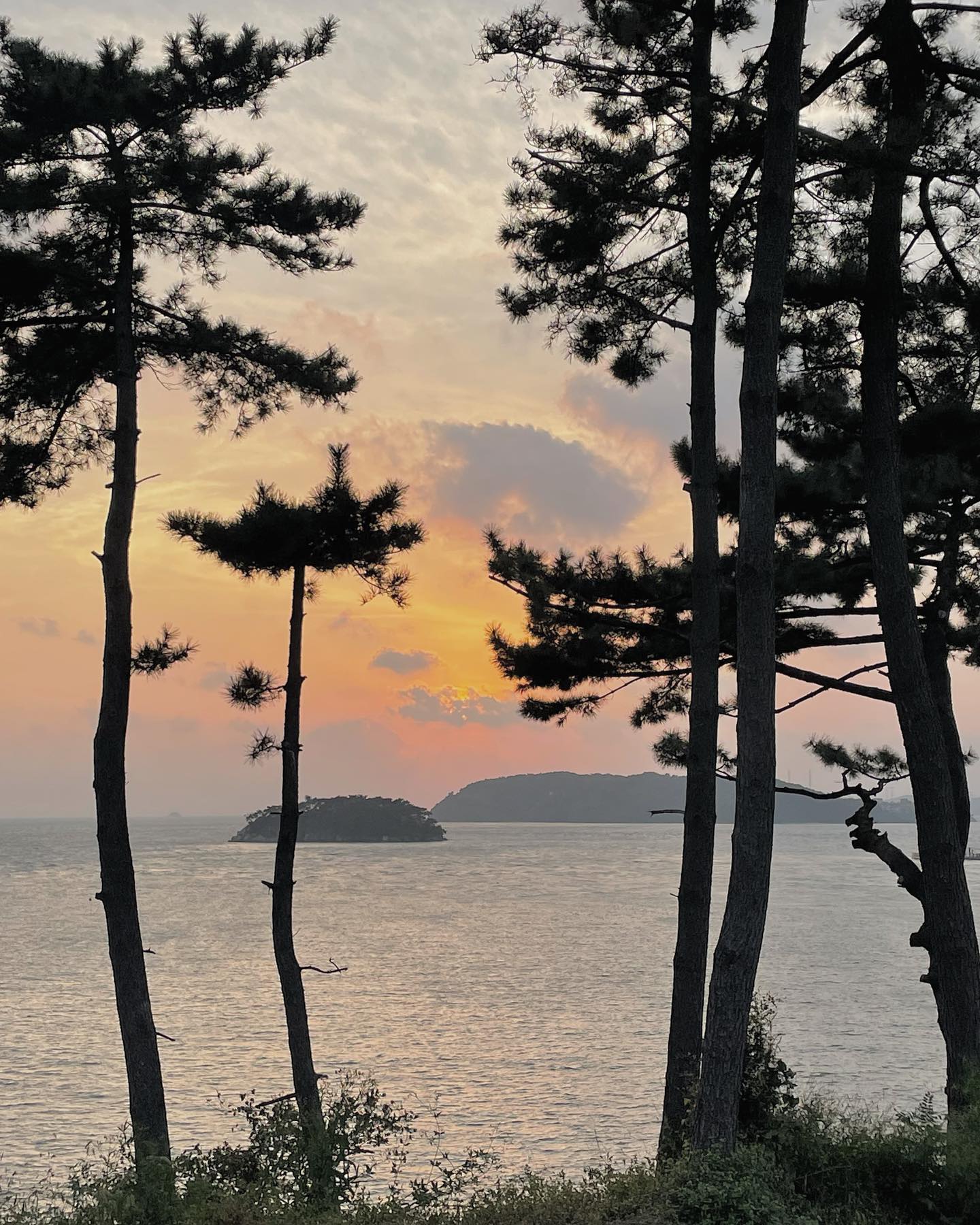 입병 얼른 낫게 해두세요 🙏🏻