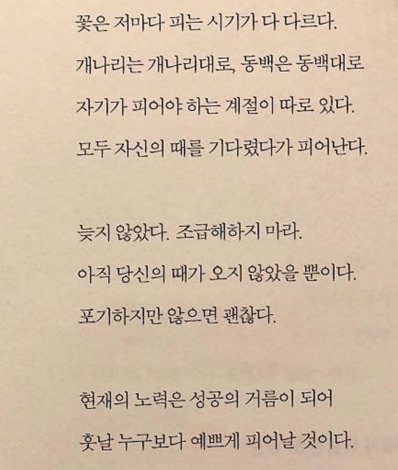 다소 늦더라도
그대는 예쁜꽃을 피울사람이다 :)