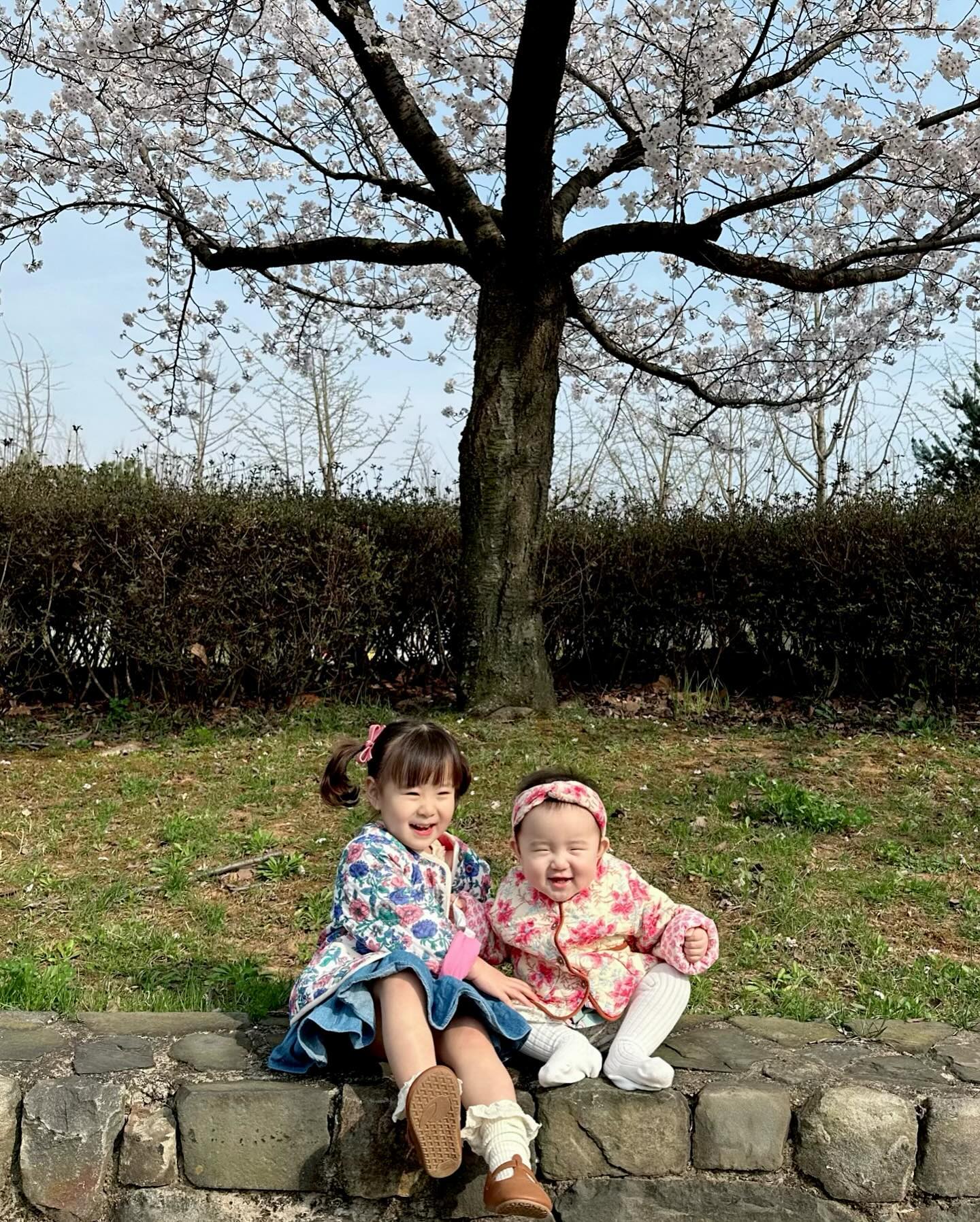 #꽃채이🌸#꽃그린🌸
채이도 하얗다는 소리 많이 듣는데
💚그린이는 진짜 순두부같이 새하얗네🙊💕
그린이가 예뻐죽겠는 채이야~~~
지금 마음껏 주물러~~~ㅋㅋㅋㅋㅋ
걷기 시작하면 짤 없을듯😇ㅋㅋㅋㅋㅋㅋㅋ
내년 벚꽃놀이가 기대되는 
장이린 동생 장그린🥰ㅋㅋㅋㅋㅋㅋ