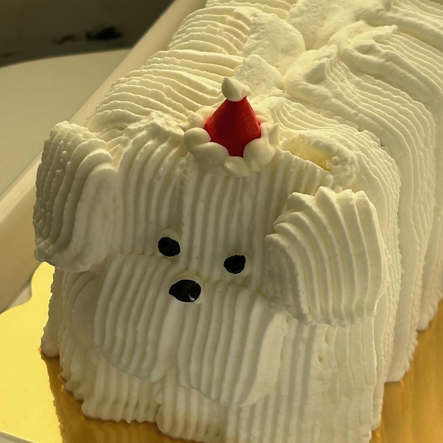 산타모자로 바꿔 썼다길래 다녀왔는데 너무 귀엽잖아🎄