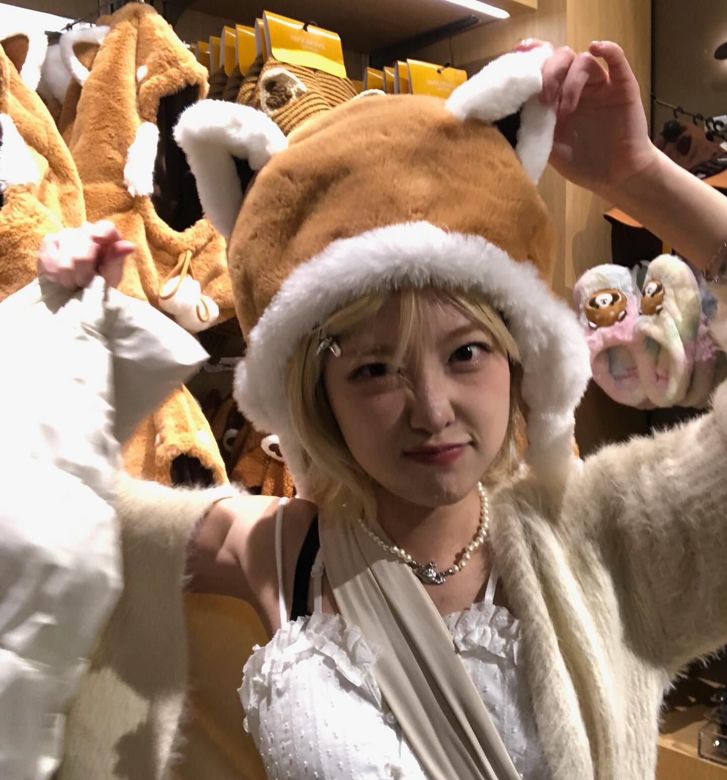 모두가 판다를 볼 때 나는 렛서판다🐼🦊