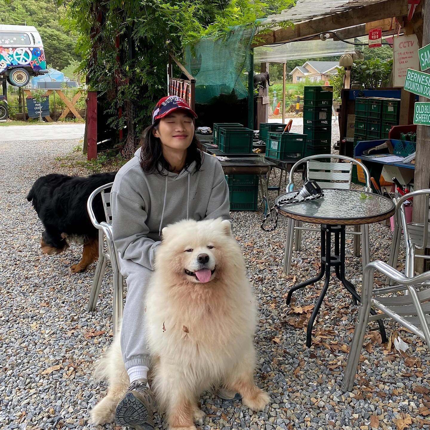 #협찬 #나인제트 
🍂
영월에서 만난 강쥐 미자🐶