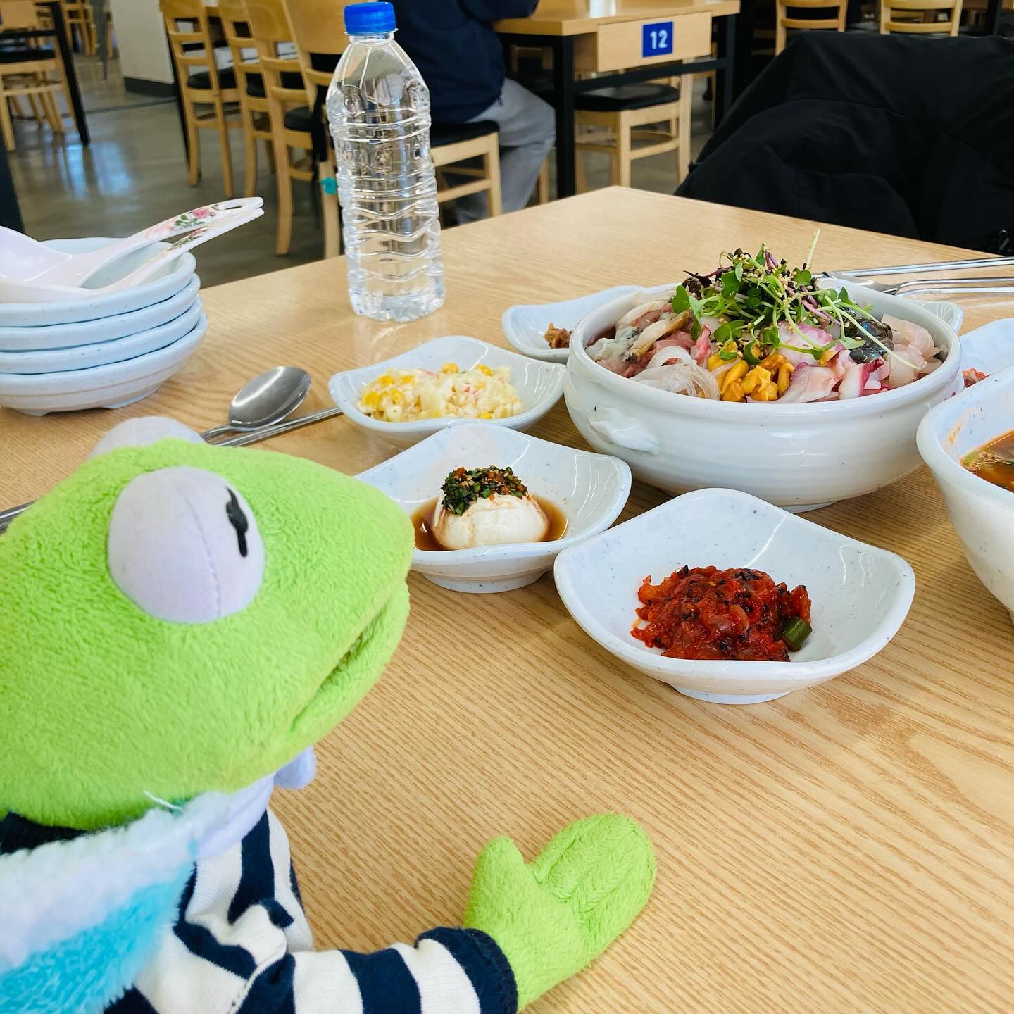 속초 하면 물회지 !!! 오징어 순대  가즈아 
#여행 #여행하는개구리 #개구리#커밋 #kermit