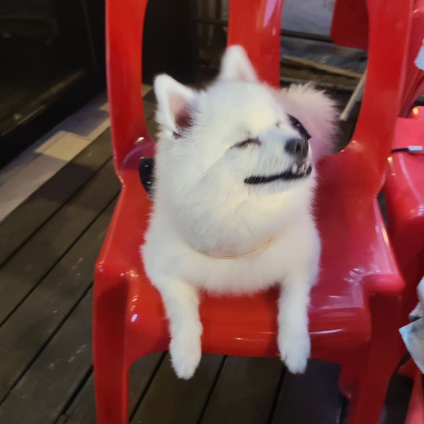 찐행복한 표정🩷