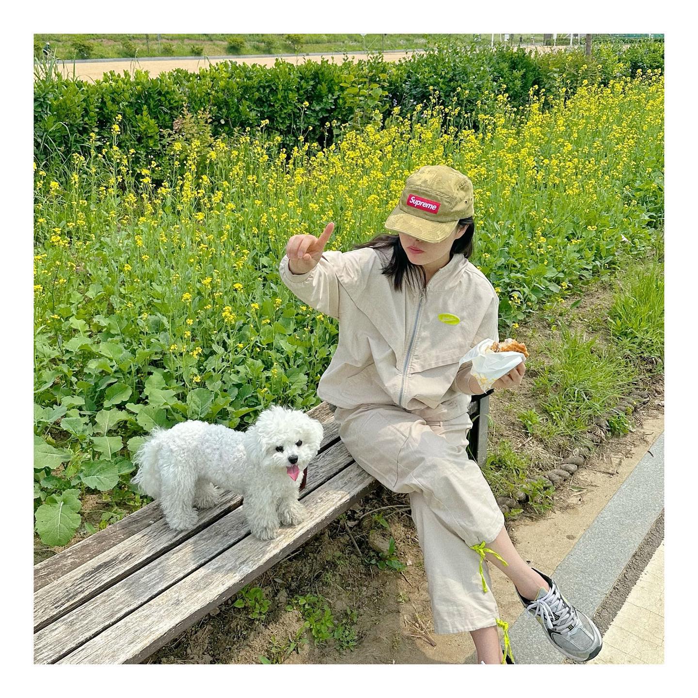 이제 진짜 여름이 오는군하.!!! 우리 배추 더워보이길래 등목도 하고 비둘기 친구들이랑 열심히 놀고 다음주는 배추 첫 비행기 타고 여수찍고 제주도까지 갑니다 😉🤍