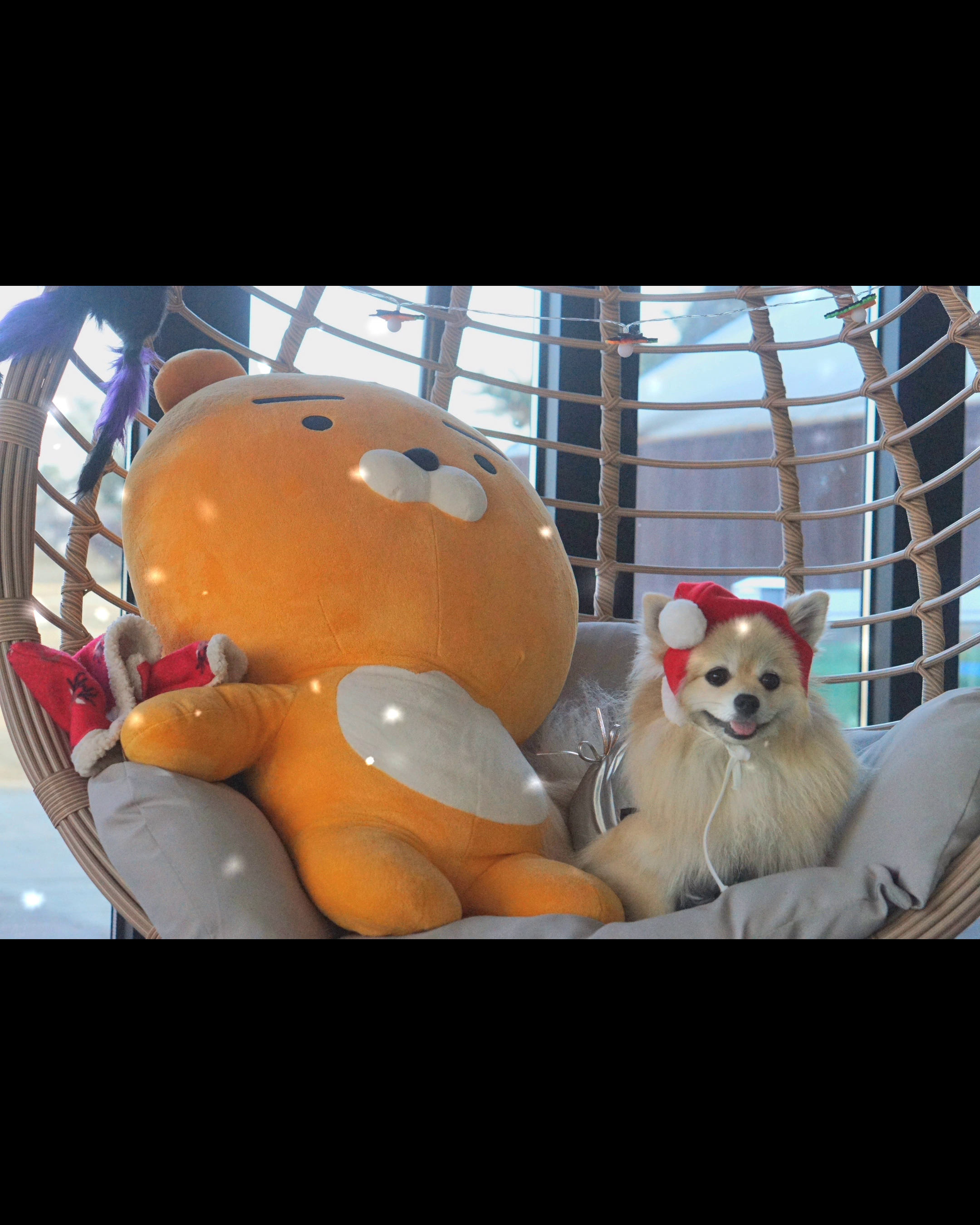 콘텐츠