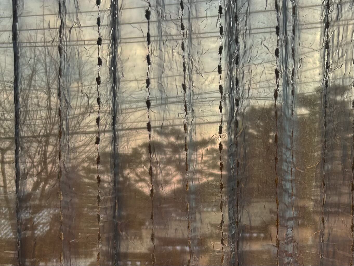 궁동행
