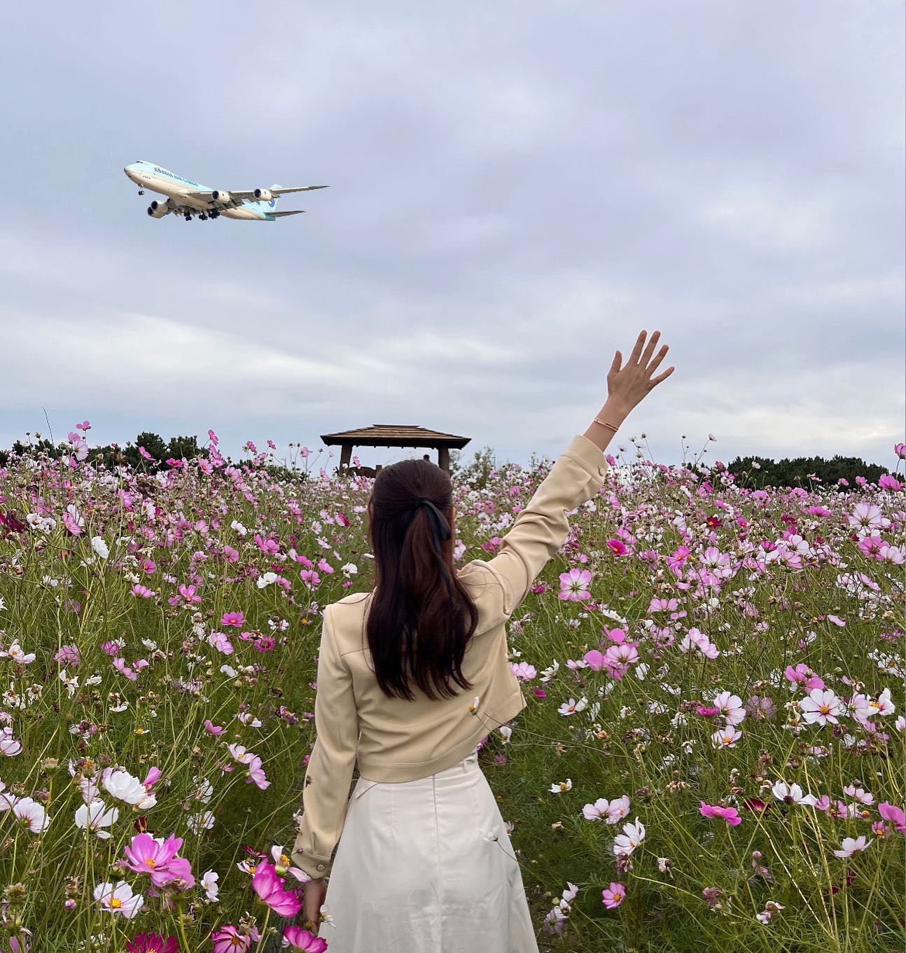 -
공항 옆에 있는 정원이라 3-5분에 한번씩 비행기가 날아다니는 재미가 쏠쏠했던 곳🌷✈️
