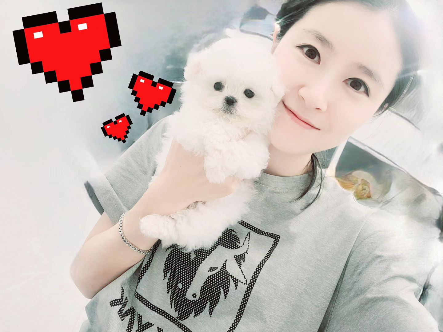 #일상
하루종일 너랑 뒹굴고 싶고나~~
보고 있어도 보고 싶은
너무 예쁜
꾸잉💕💋😍
내새꿍
코찔찔이여도 이쁘고나♡
감기얼릉나으쟈
.
.
오늘도쉴틈없이열심히살았다
.
#뿌듯 #감사
#미니비숑 #초미니
#테디비숑
#레이디폼 #브리더 #유투버
sns_ladypom
#건축 #설계 #디자이너 
#고건축디자인
#pomeranian 
#가족 #포메라니안
#초미니포메라니안전문견사
#전문견사 #이세무사
#wbws #알고리즘 
#workout #건강
#셀스타그램 #얼스타그램 
#셀키꾼 #소통 #follow #나에게휴일이란없다